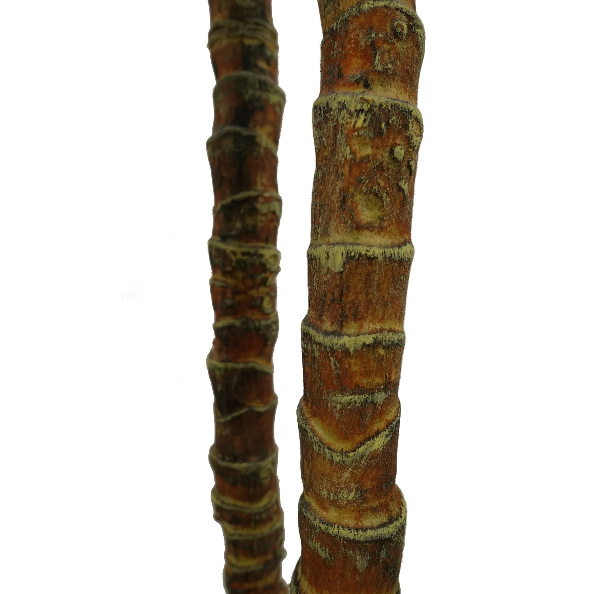 170cm Artificial XL Triple Yukka Tree Plant Spiky Tree Plant Realistic - Image 4