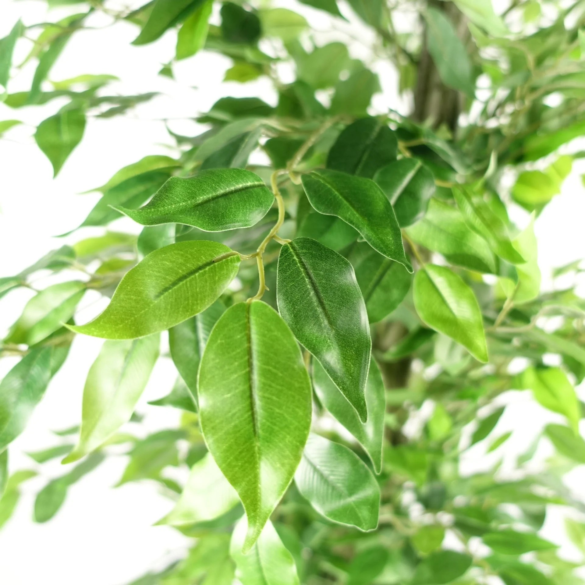 180cm Artificial Ficus Tree Green Realistic - Image 2