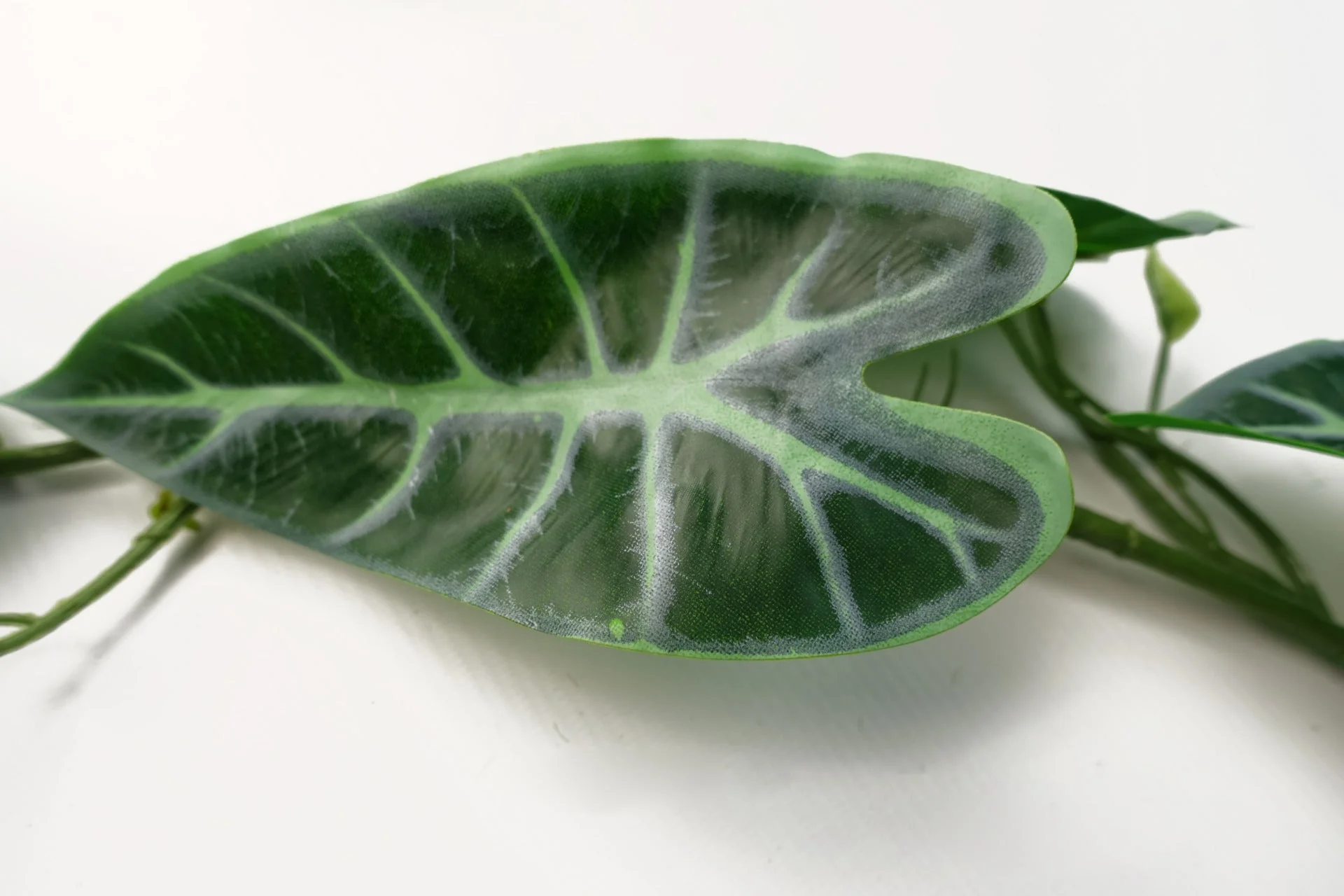180cm Artificial Hanging Trailing Amazonica Plant - Image 3