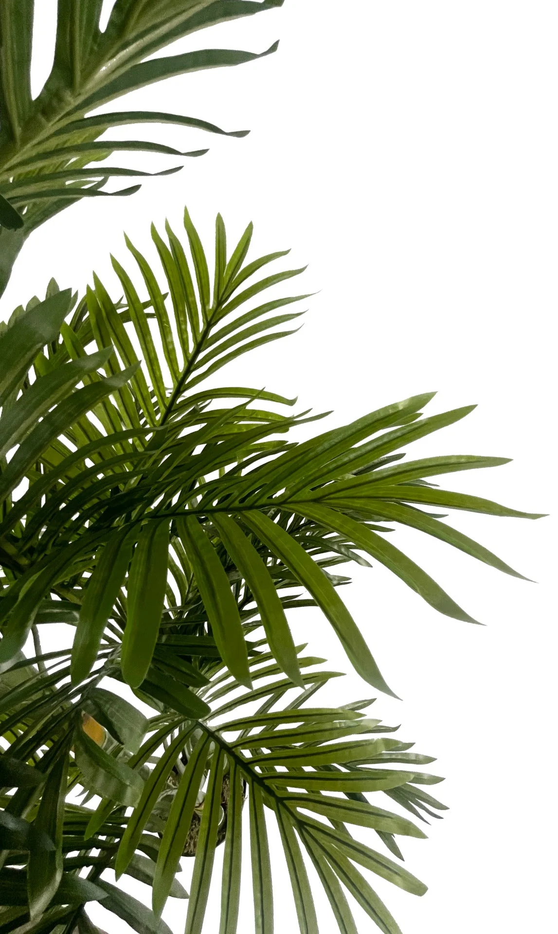 180cm Artificial Tropical Palm Tree - Image 2