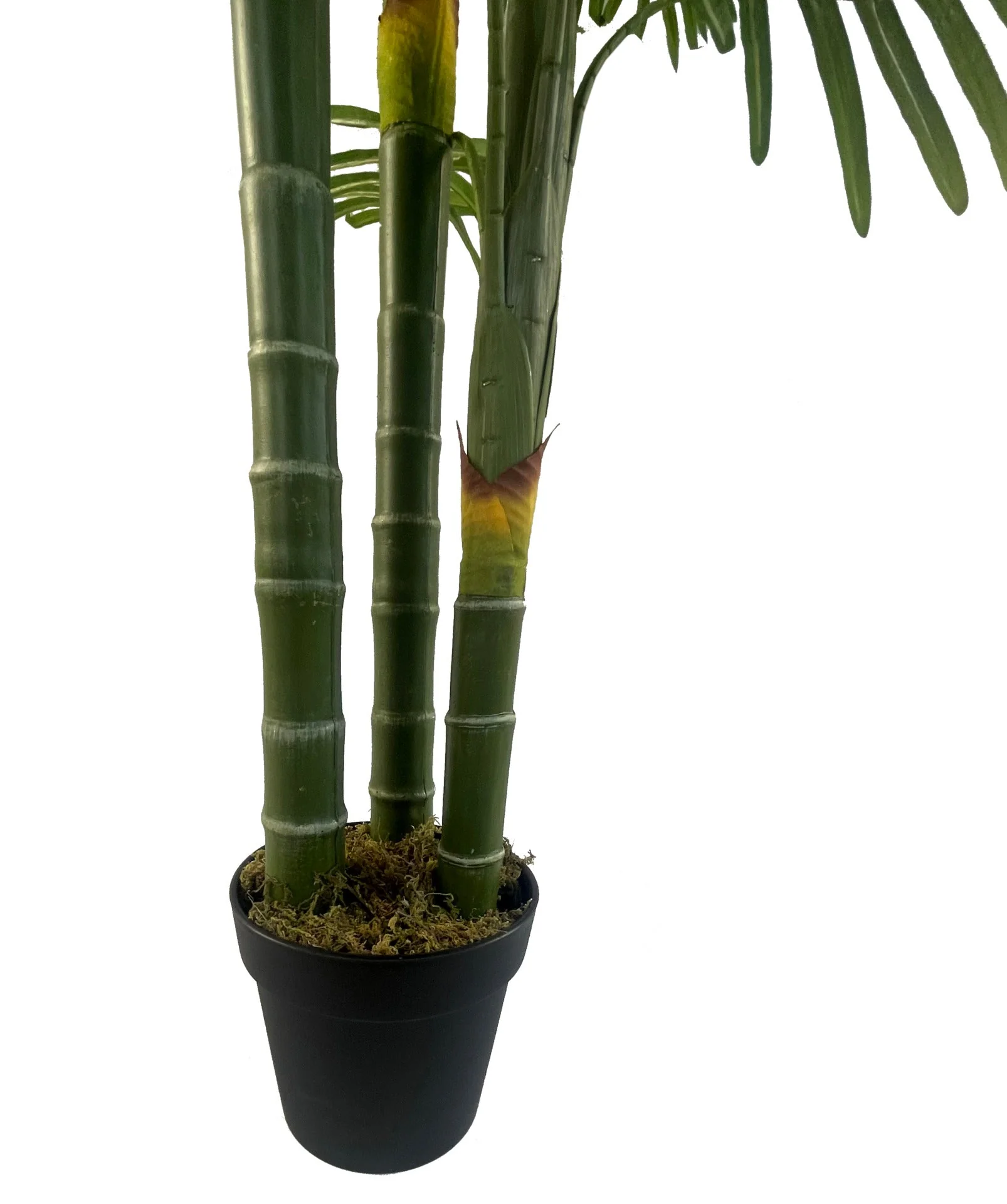 180cm Artificial Tropical Palm Tree - Image 4