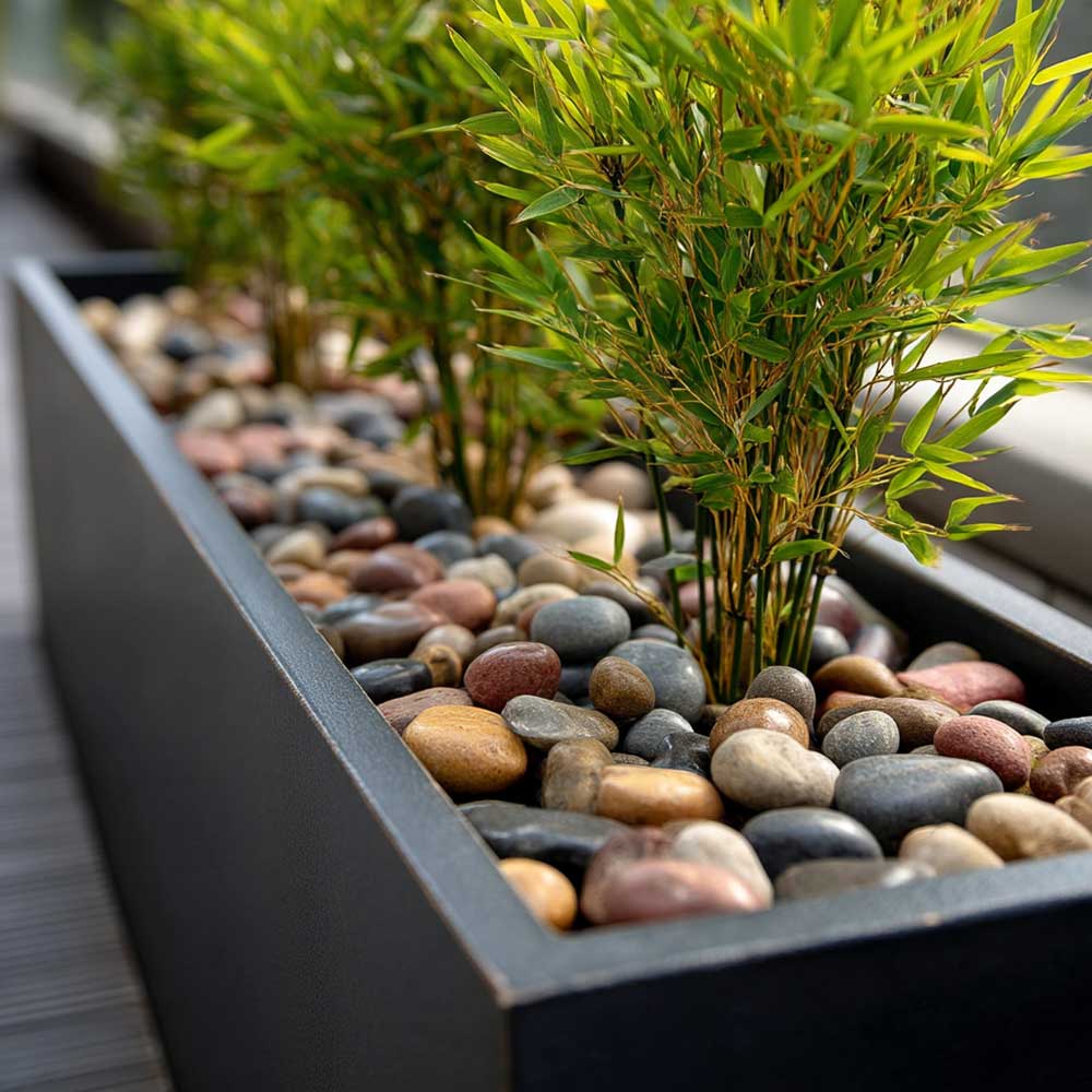 20kg Decorative Planter Topper Aggregates - Image 11