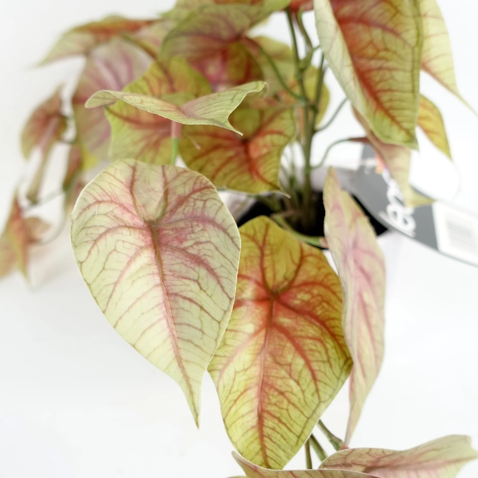 30cm Artificial Pink Caladium Potted Trailing Plant - Image 2