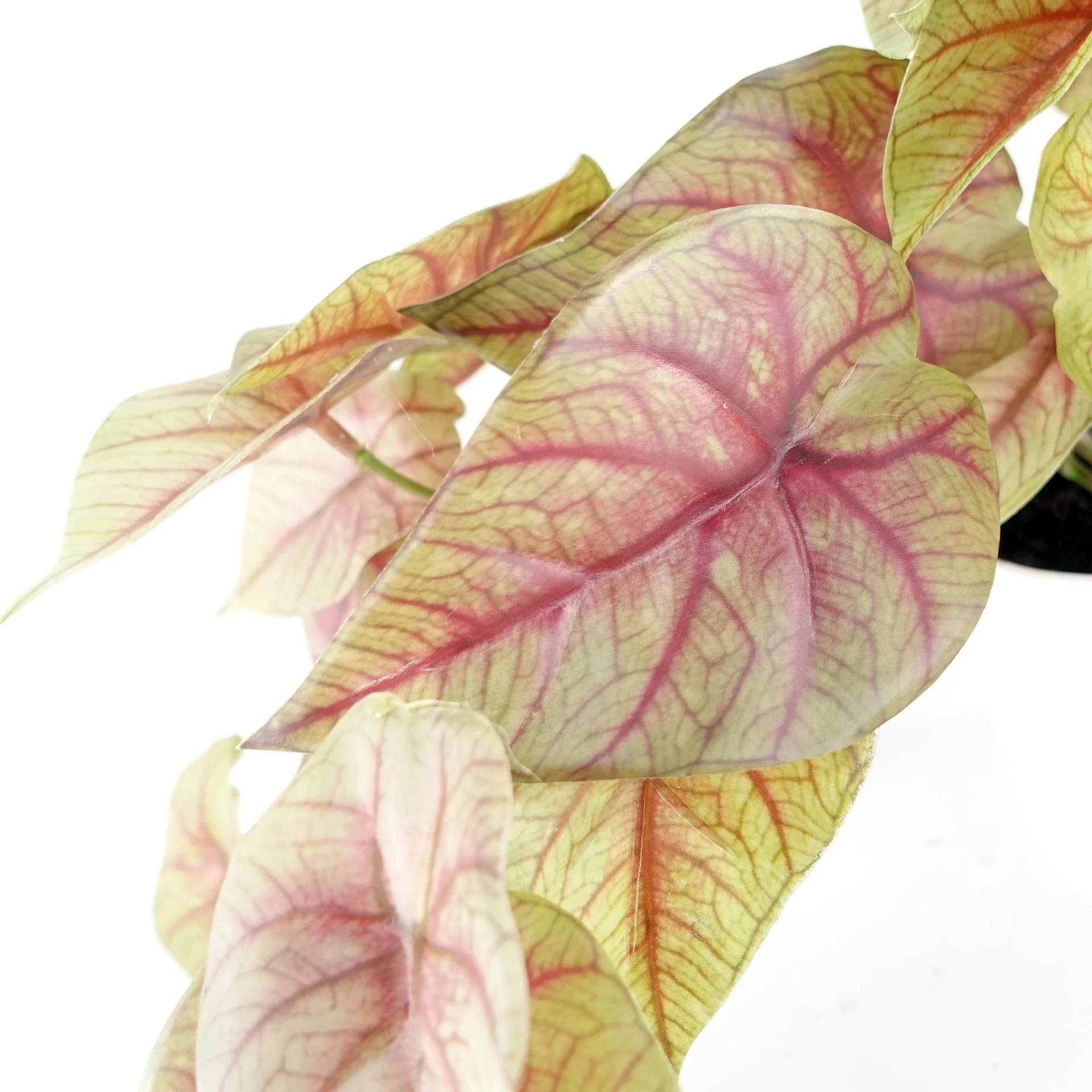 30cm Artificial Pink Caladium Potted Trailing Plant - Image 3