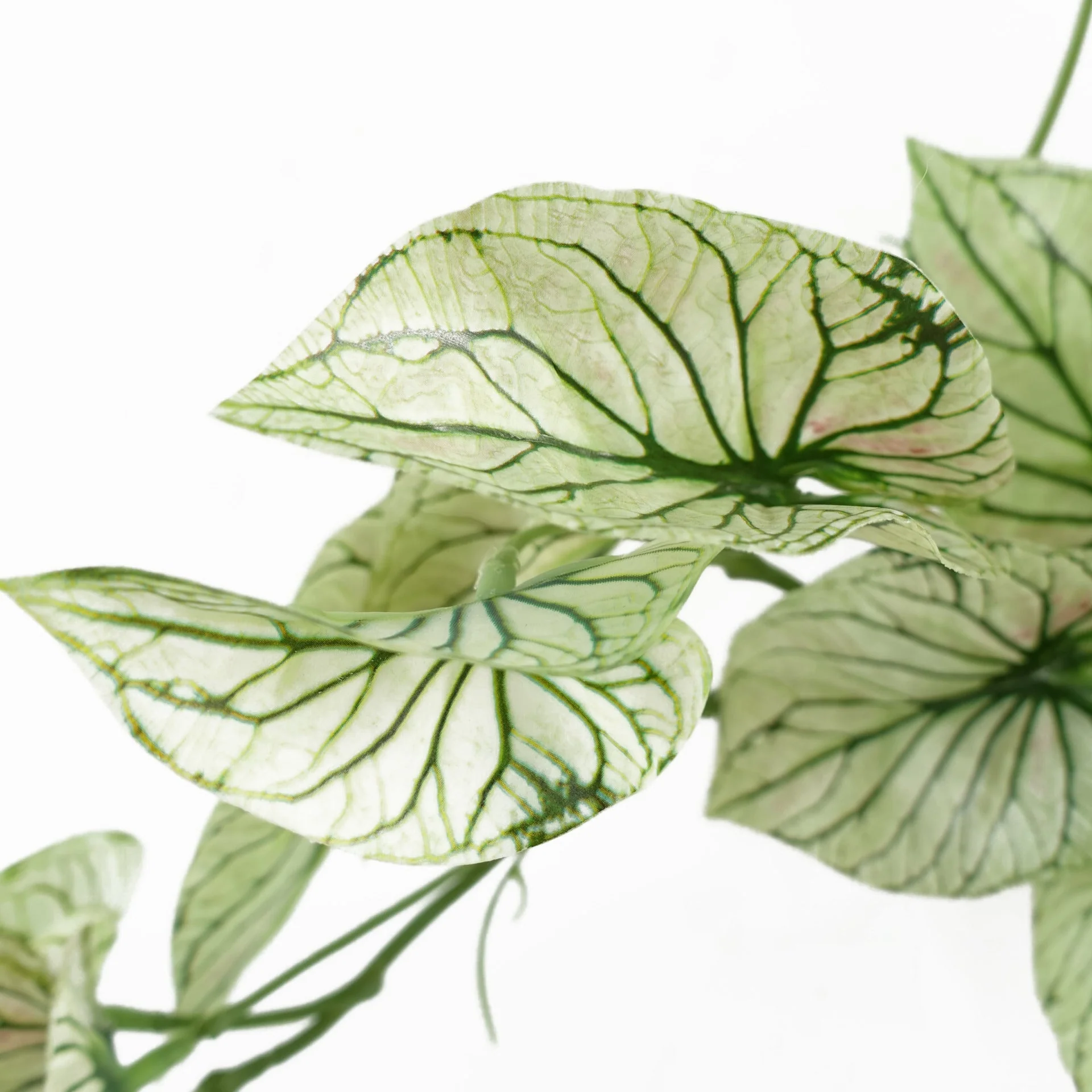 30cm Artificial Trailing Plant Variegated Potted Alocasia - Image 2