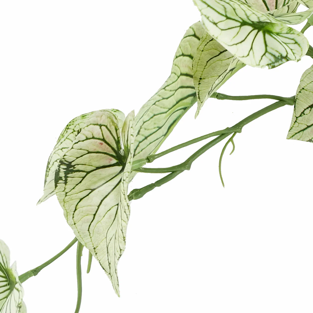 30cm Artificial Trailing Plant Variegated Potted Alocasia - Image 3
