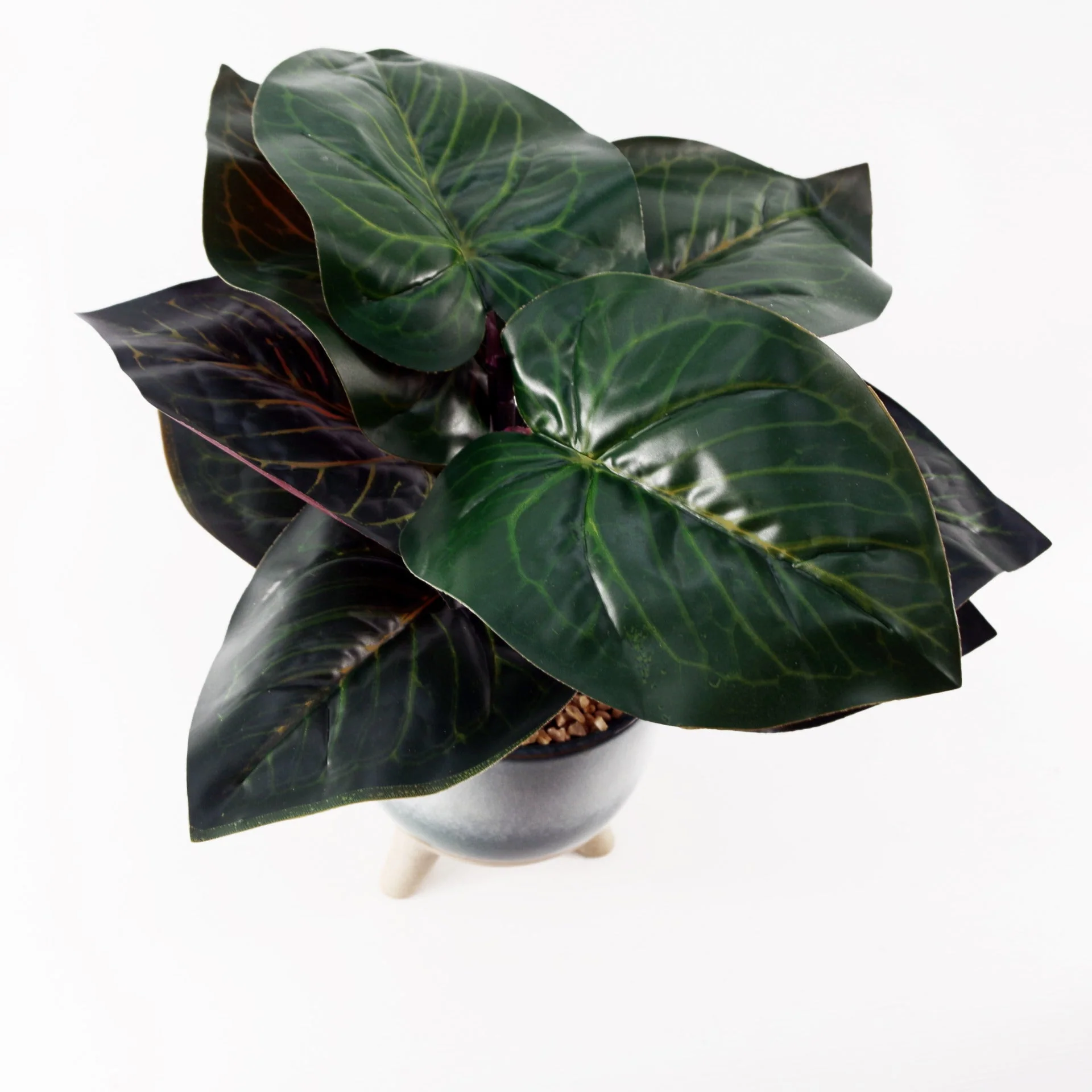 35cm Artificial Ficus Plant with Teal Blue Green Ceramic Planter - Image 4