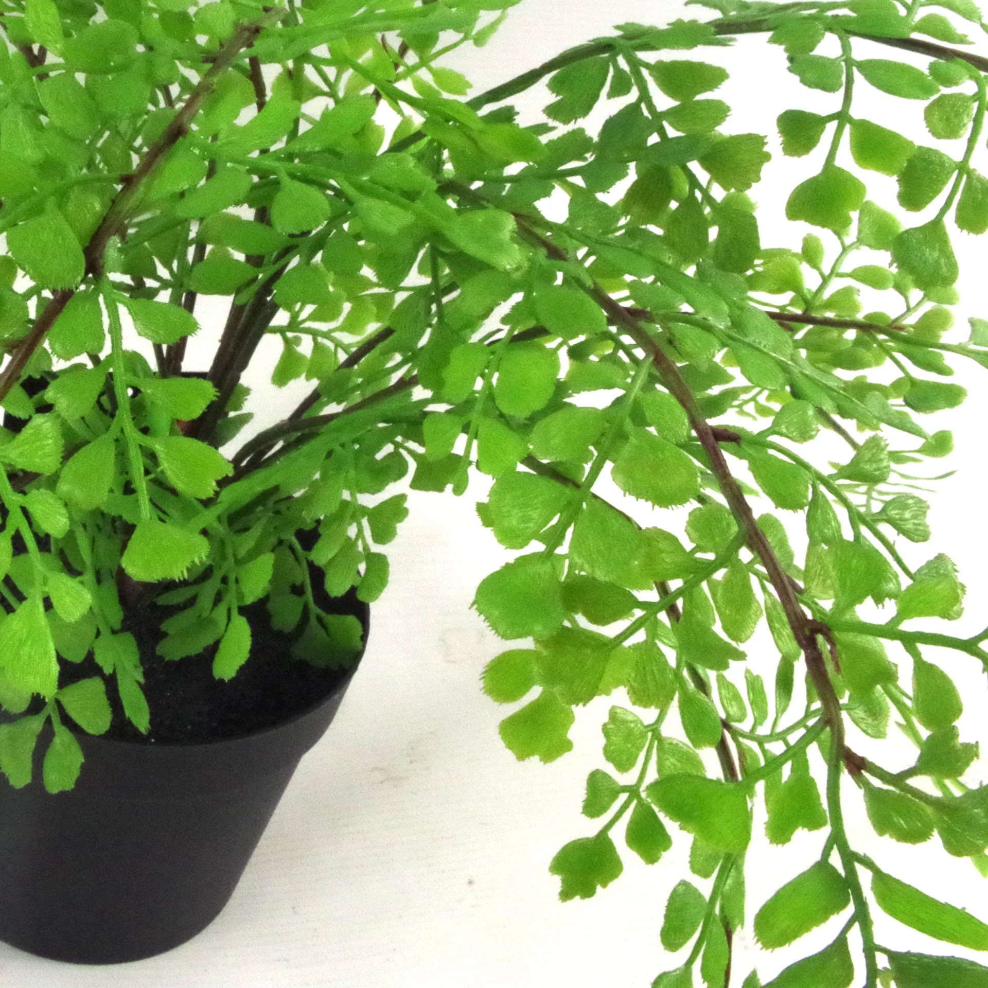 35cm Artificial Potted Fern Plant (Southern Maidenhair Fern) - Image 2