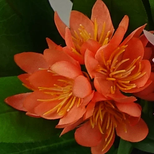 3x 18cm Artificial Freesia Plants Pink, Orange, Yellow Flowering - Image 2