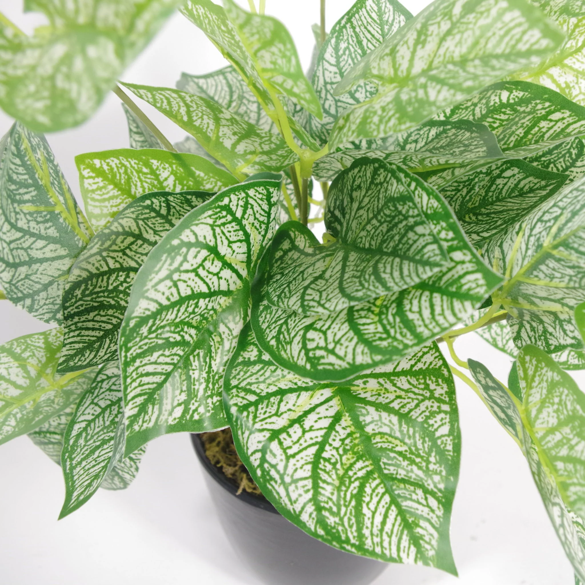 40cm Artificial Caladium Plant with pot - Image 2