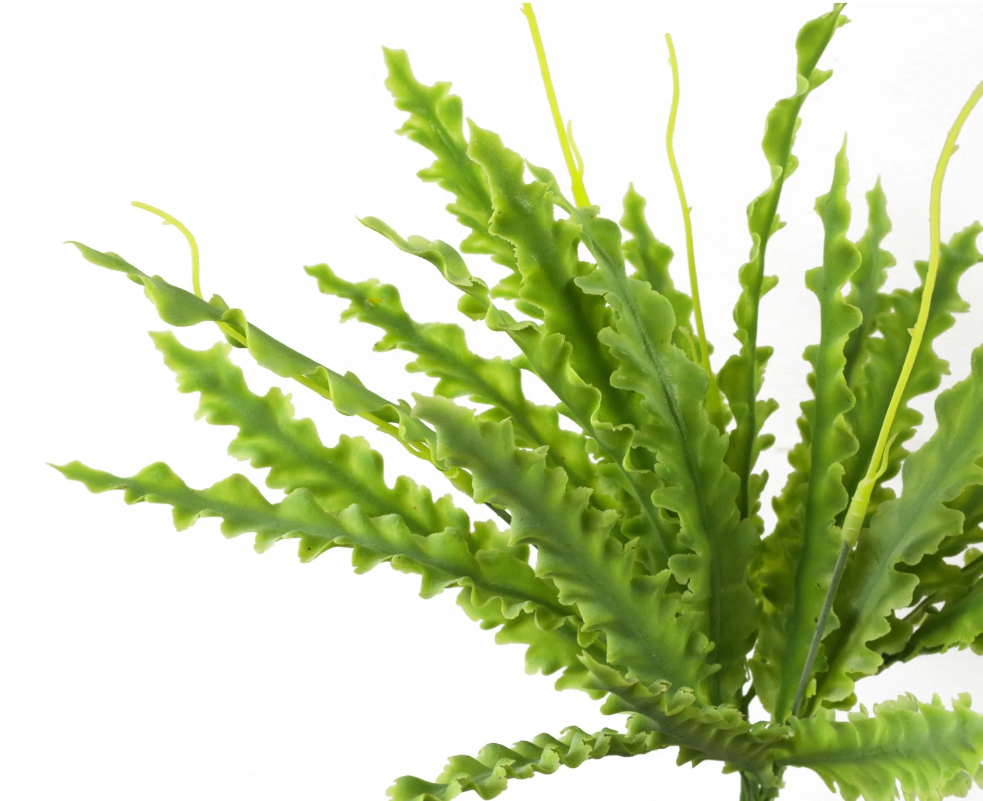 40cm Artificial Crocodile Fern Plant - Image 4