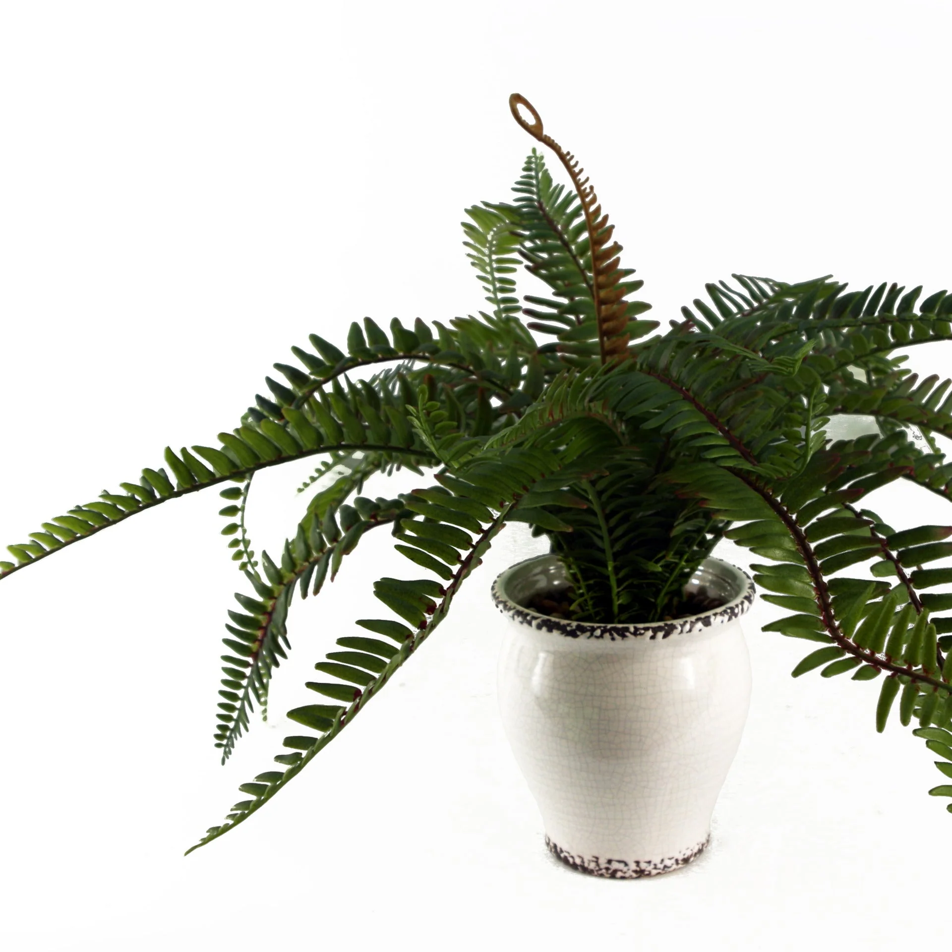 40cm Artificial Fern Bush in Decorative Planter - Image 3