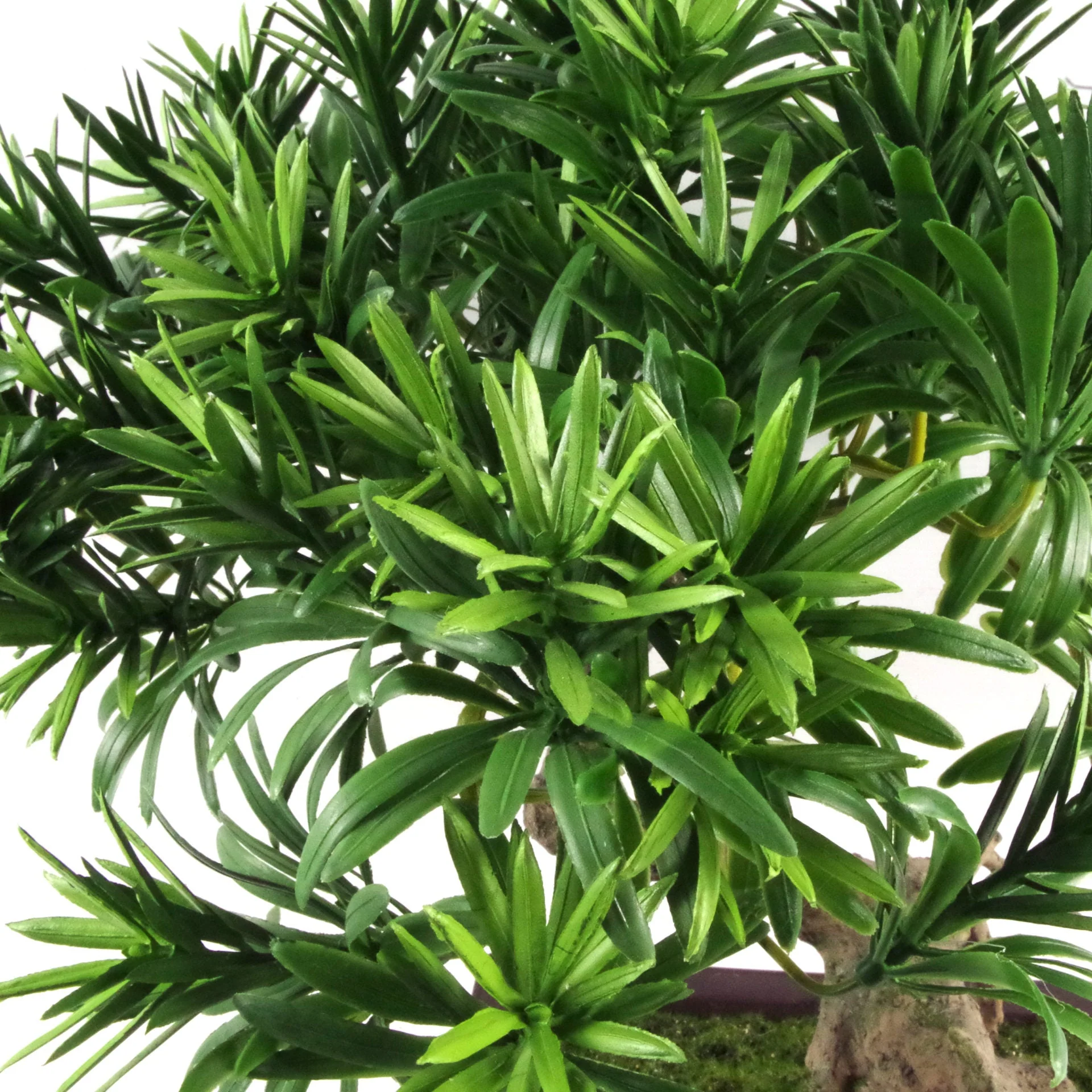 40cm Artificial Podocarpus Pine Bonsai Tree - Image 3
