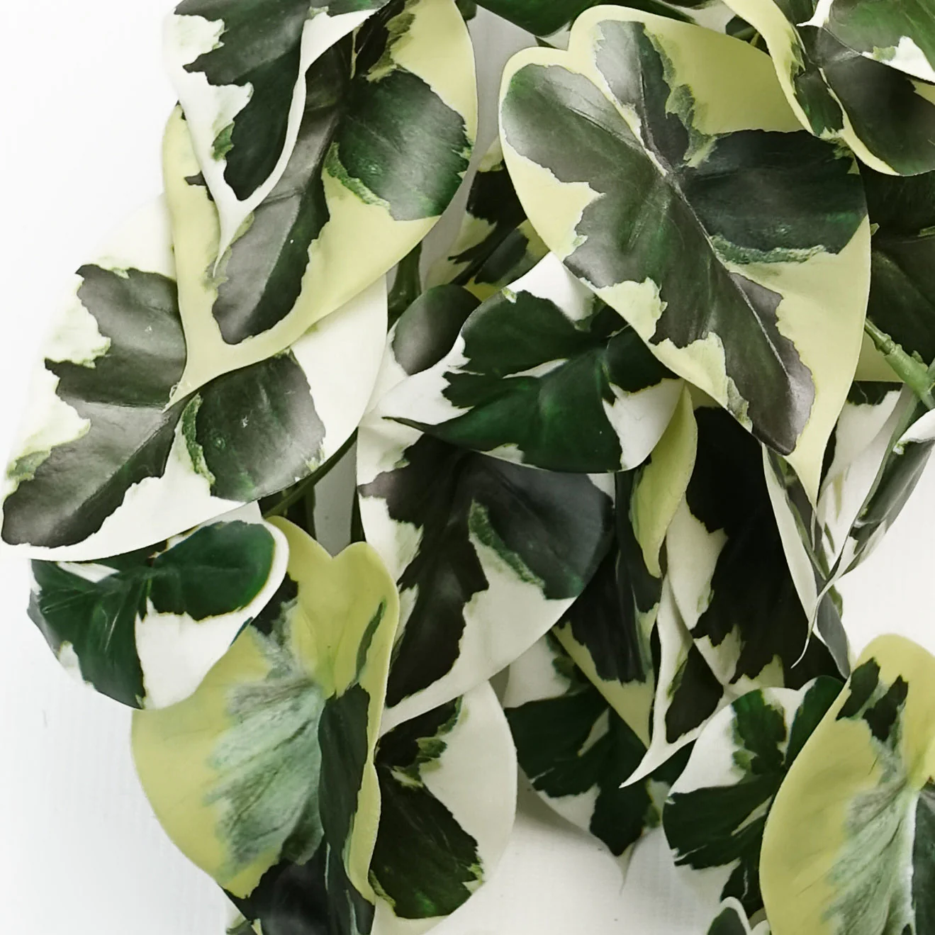 40cm Artificial Trailing Variegated Marble Pothos Plant - Image 2