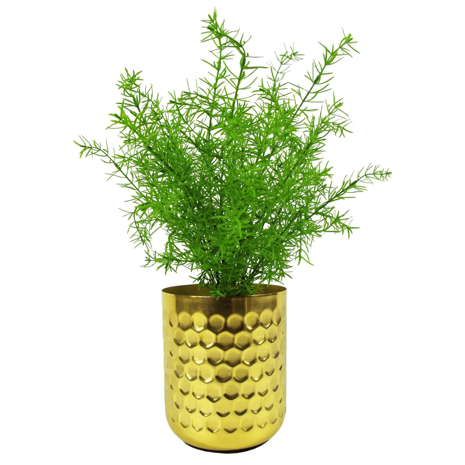 45cm Artificial Asparagus Fern Plant - Image 2