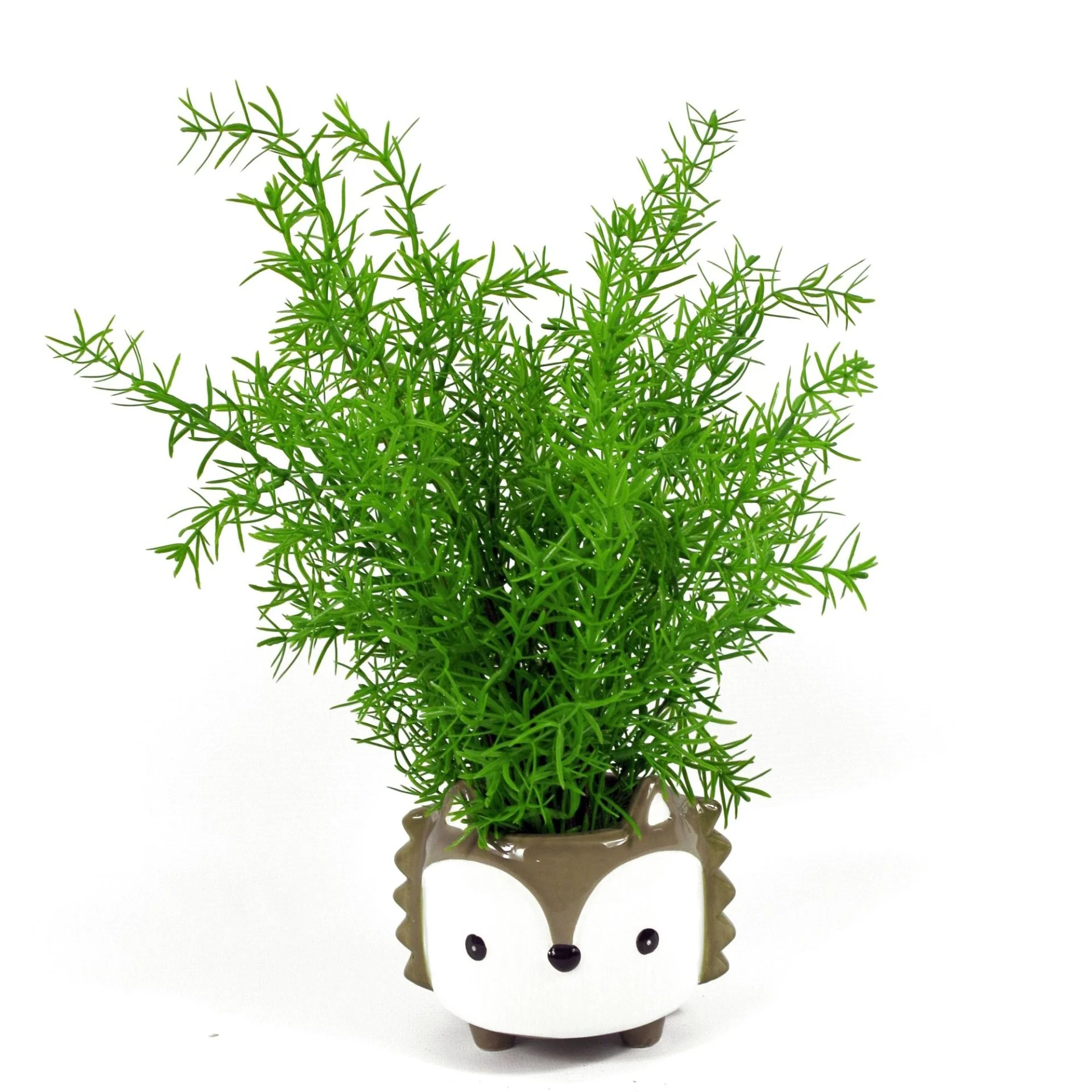 45cm Artificial Asparagus Fern Plant - Image 3