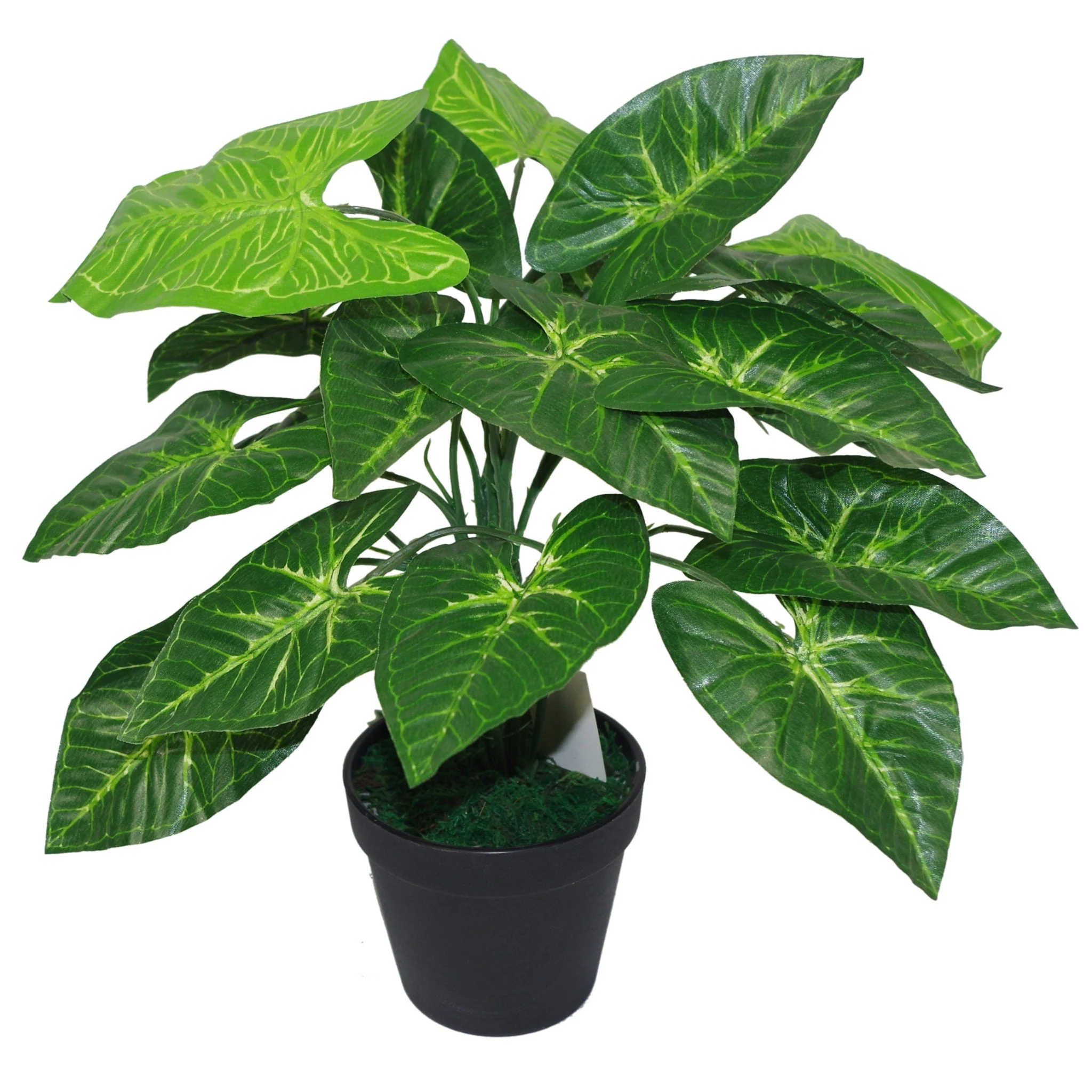 45cm Artificial Taro Plant - 45cm Dark Taro - Image 2