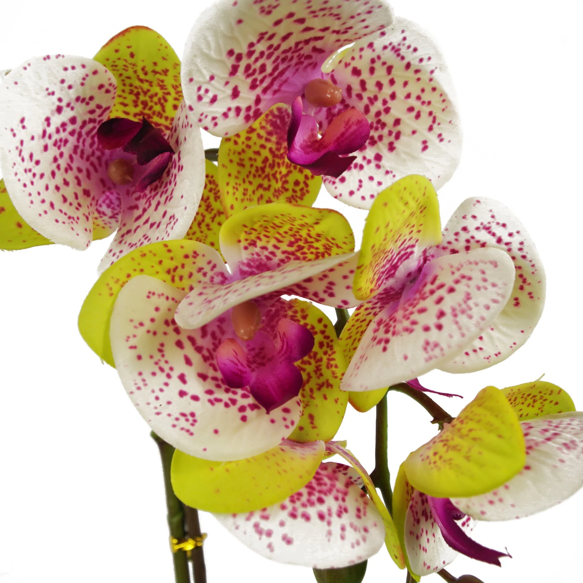 46cm Artificial Orchid Harlequin Pink with Silver Pot - Image 2