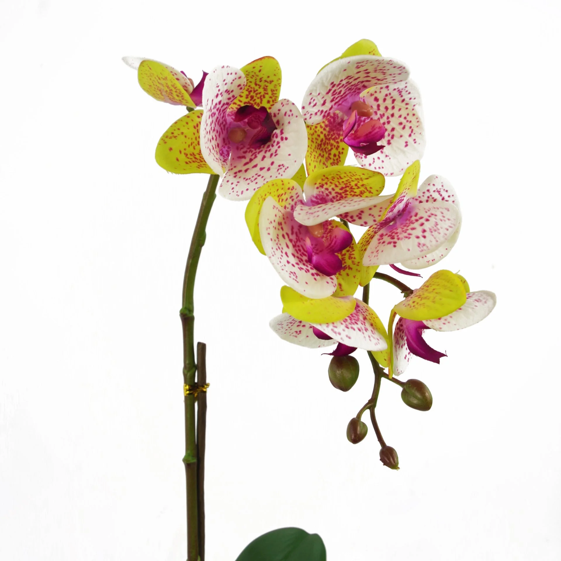 46cm Artificial Orchid Harlequin Pink with Silver Pot - Image 3