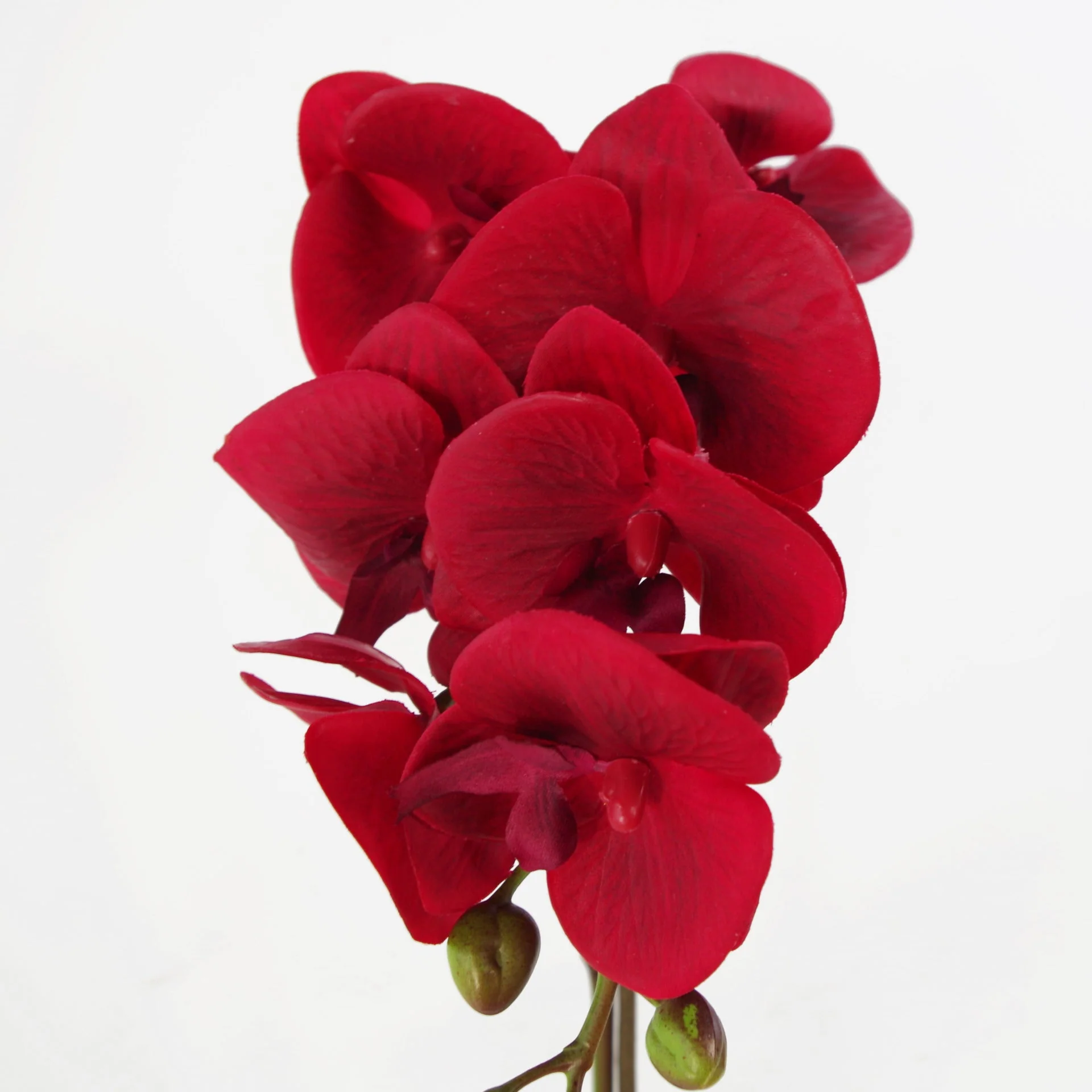 46cm Artificial Orchid Red with Silver Pot - Image 2