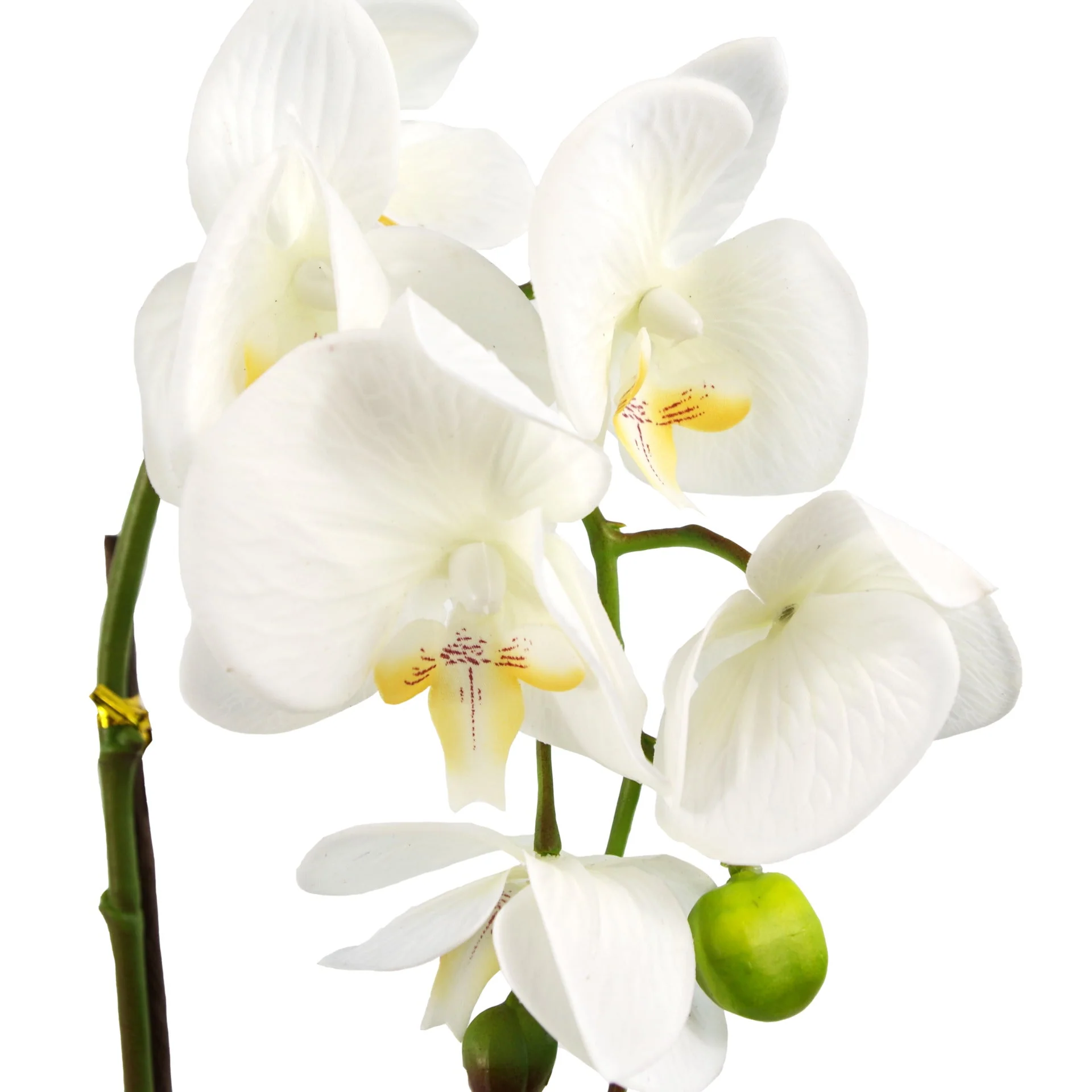 46cm Artificial Orchid White with Silver Pot - Image 2