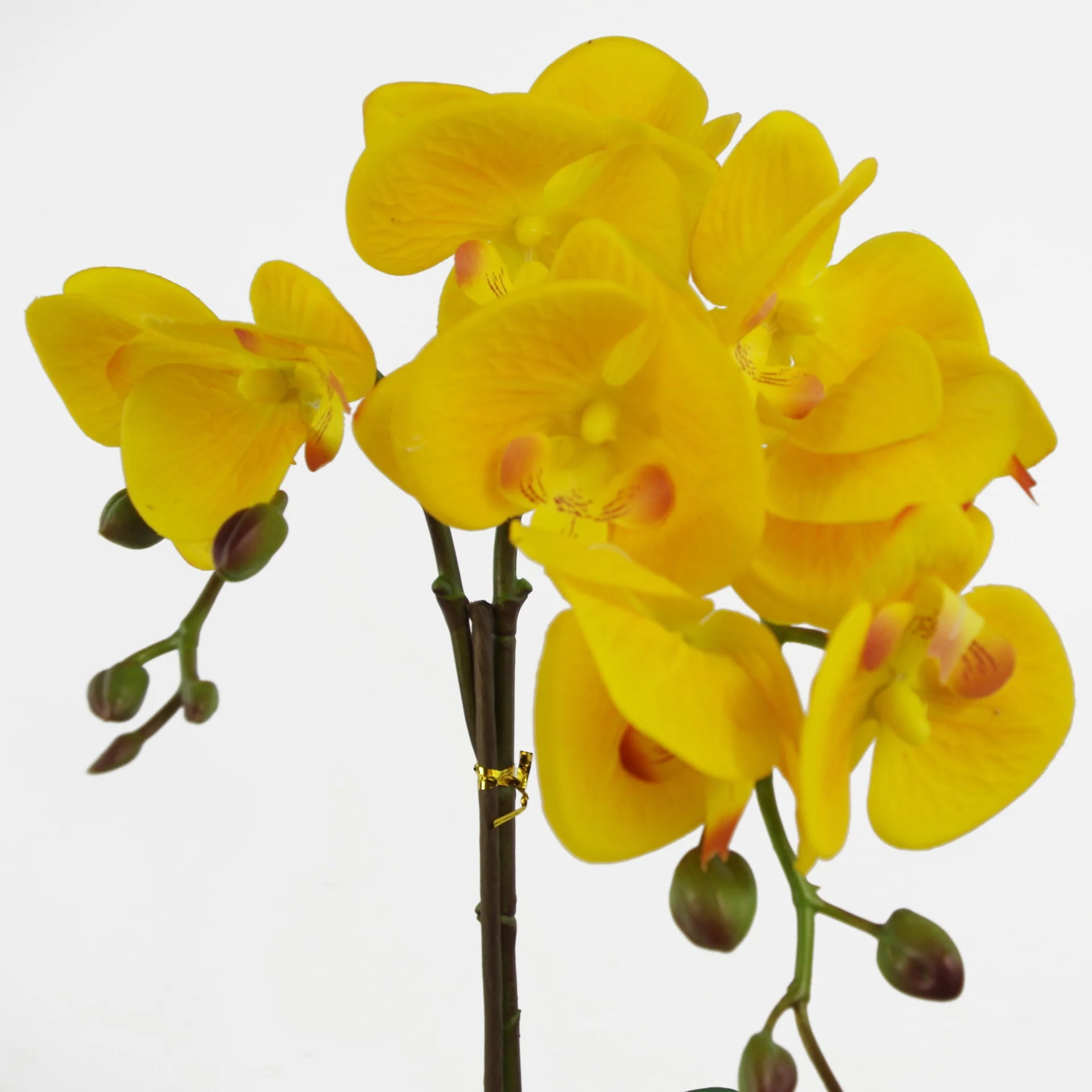 48cm Golden Orchid Artificial - Yellow with Gold Pot - Image 2