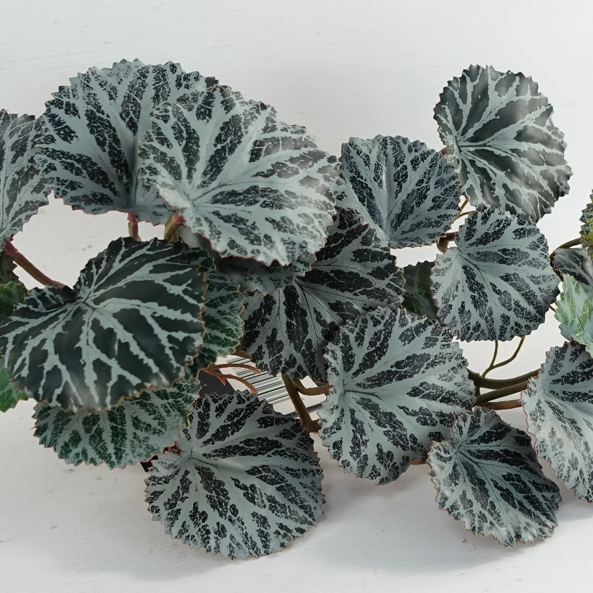 50cm Artificia Trailing Begonia Plant - Image 2