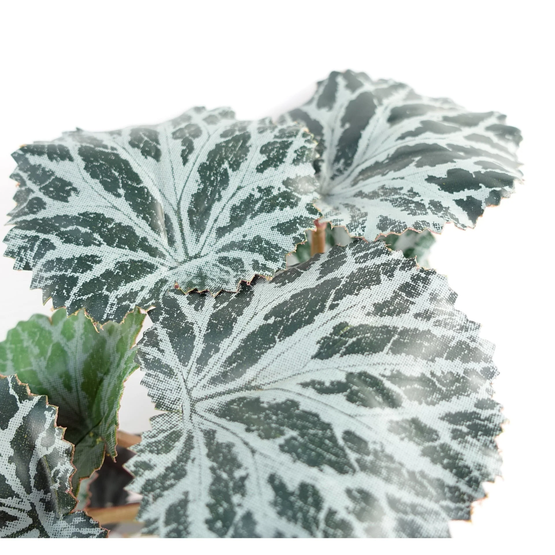 50cm Artificia Trailing Begonia Plant - Image 4