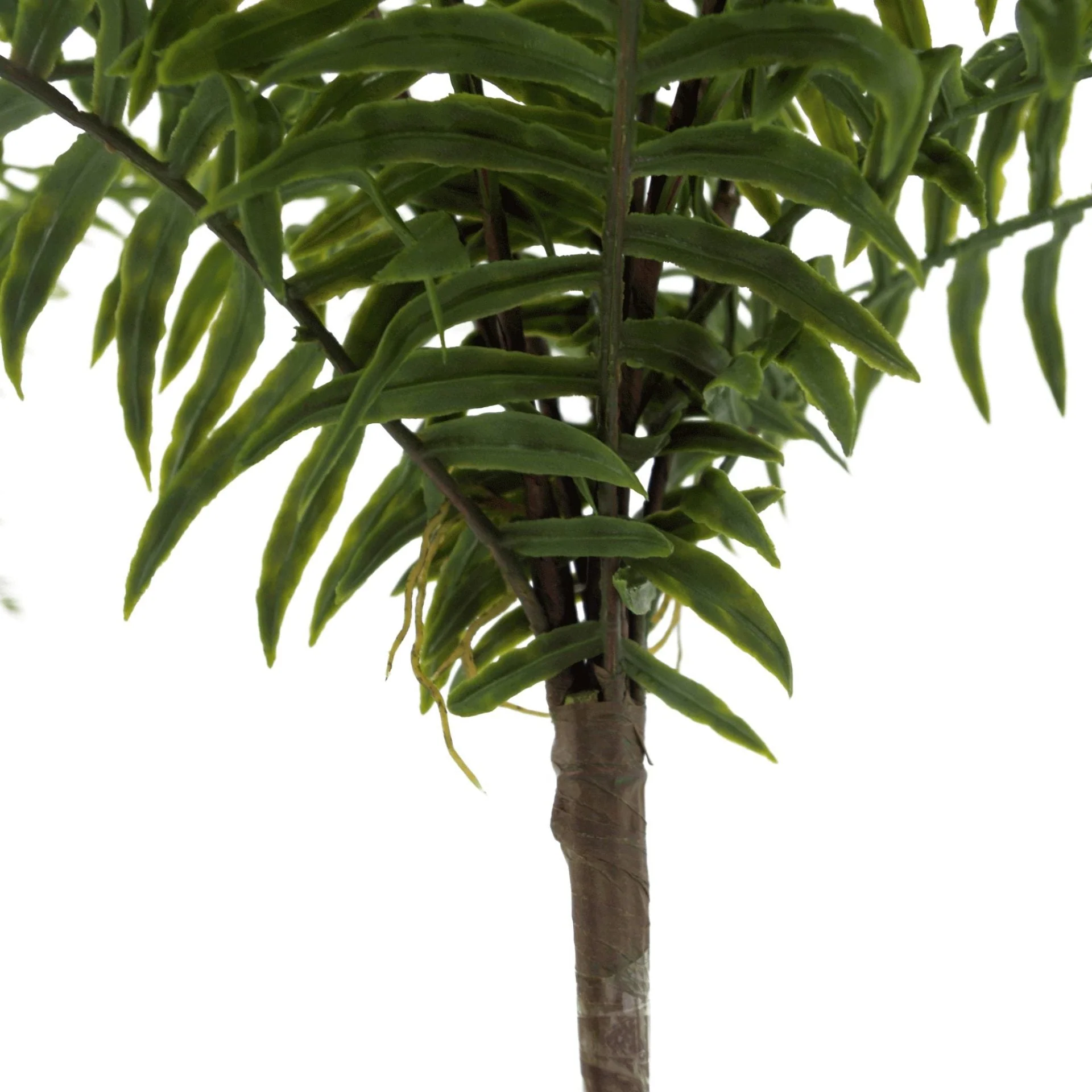 50cm Artificial Boston Fronded Fern Plant - Image 4