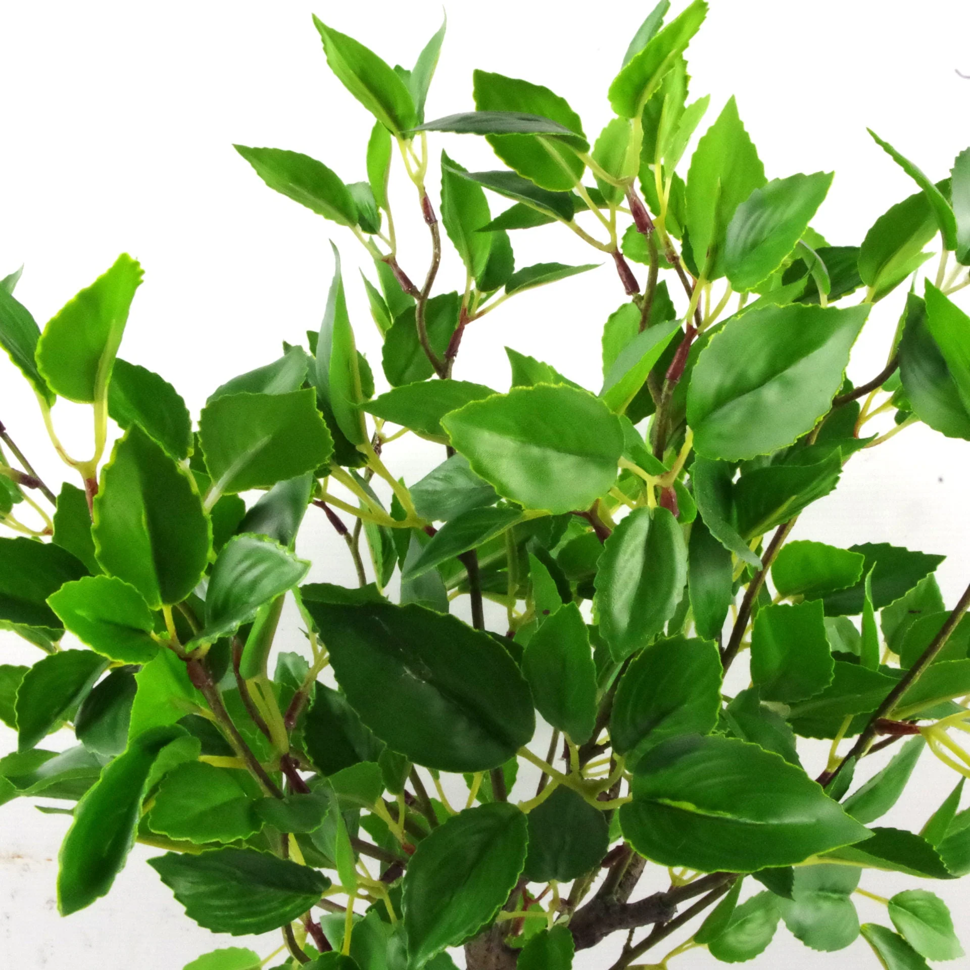 50cm Artificial Ficus Bonsai Tree - Image 2
