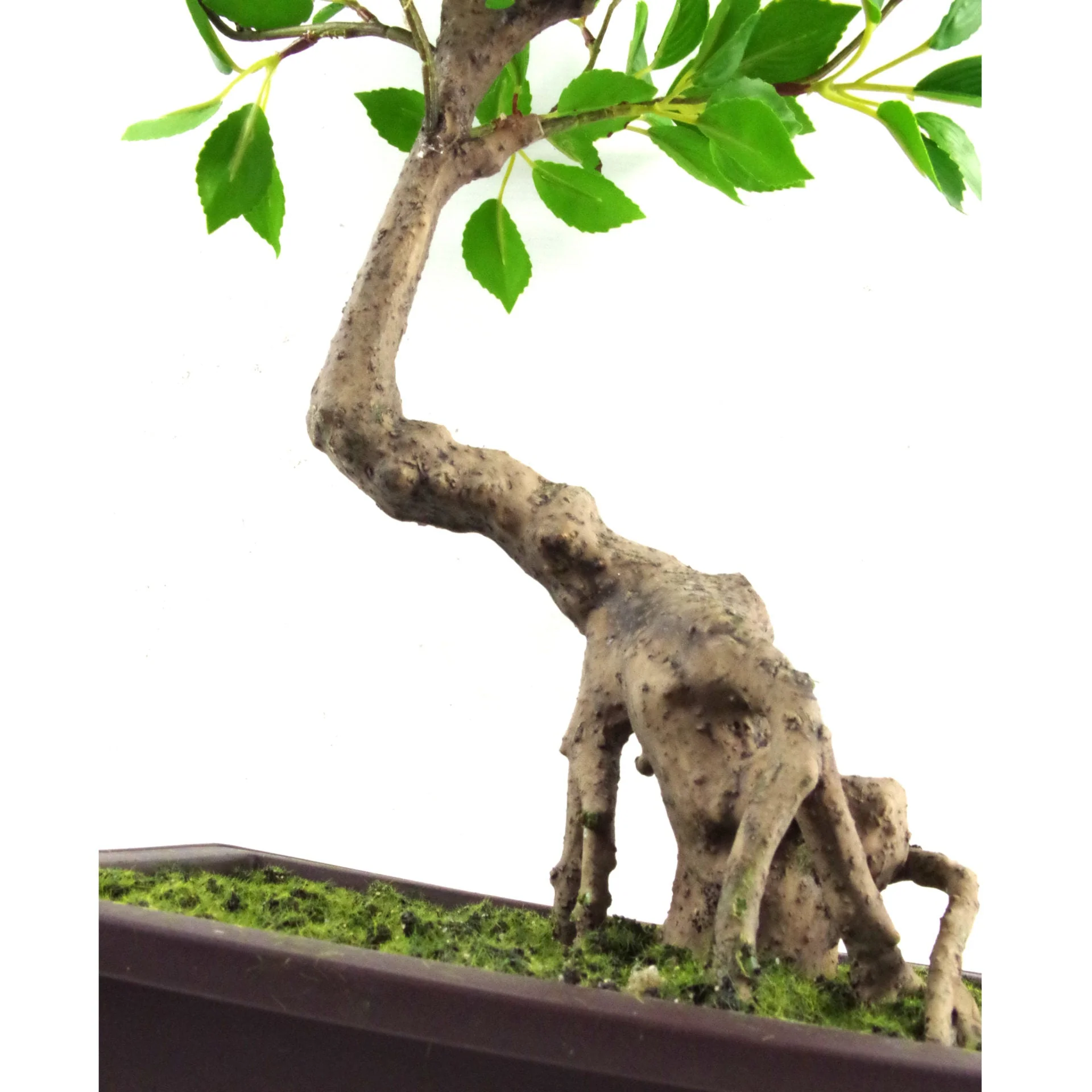 50cm Artificial Ficus Bonsai Tree - Image 3
