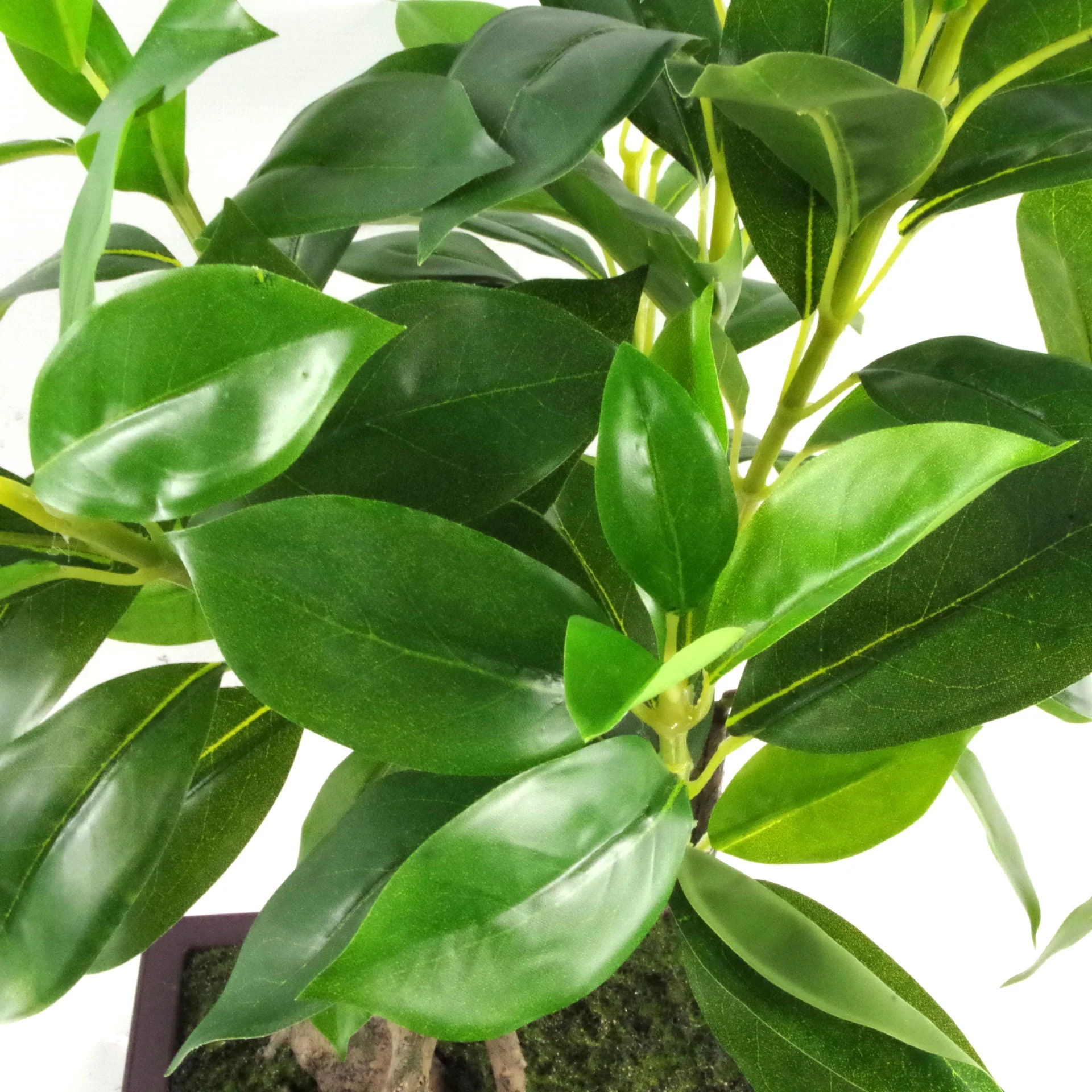 50cm Artificial Ficus Large Leaf Bonsai Tree - Image 2