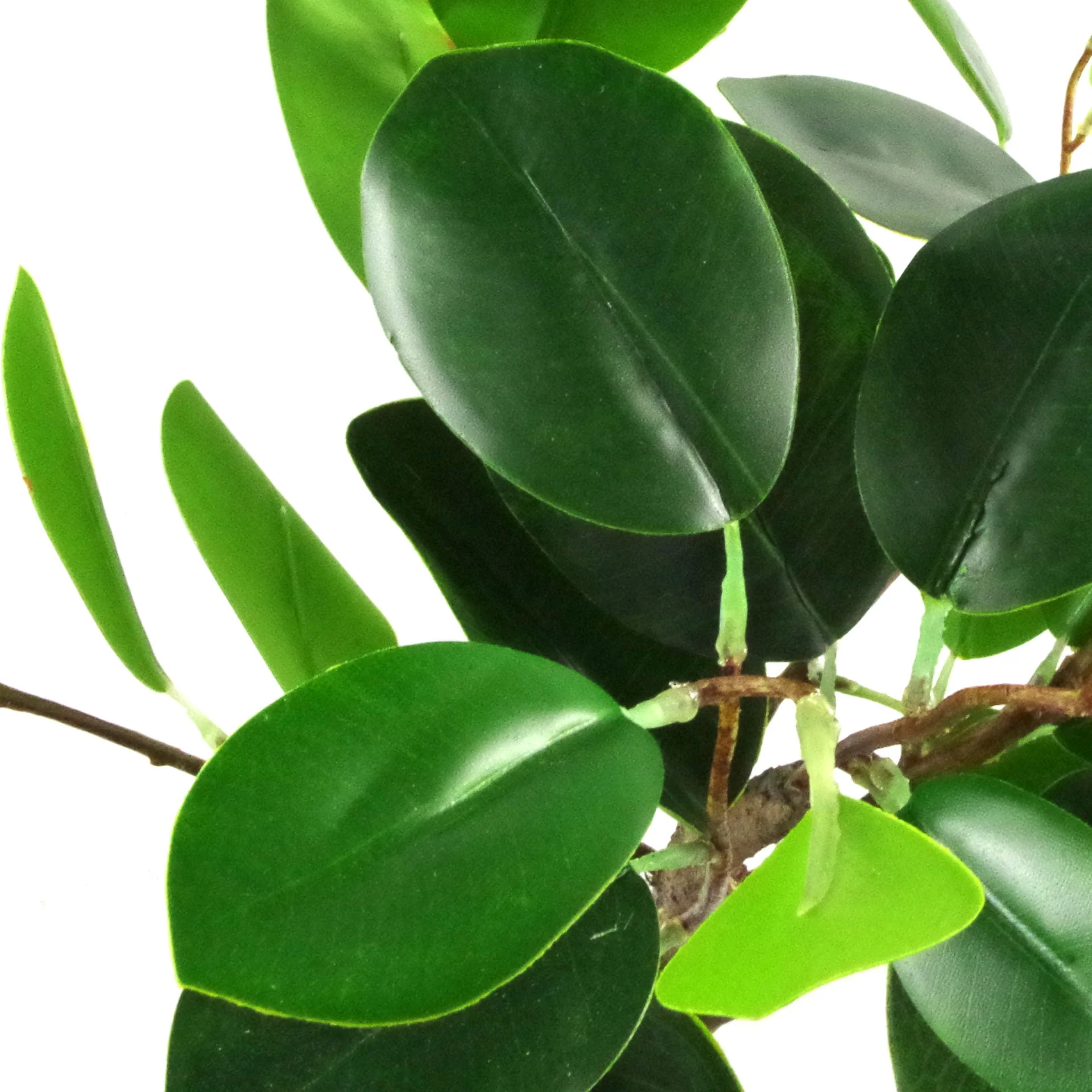 50cm Artificial Ficus Rounded Leaf Bonsai Tree - Image 3