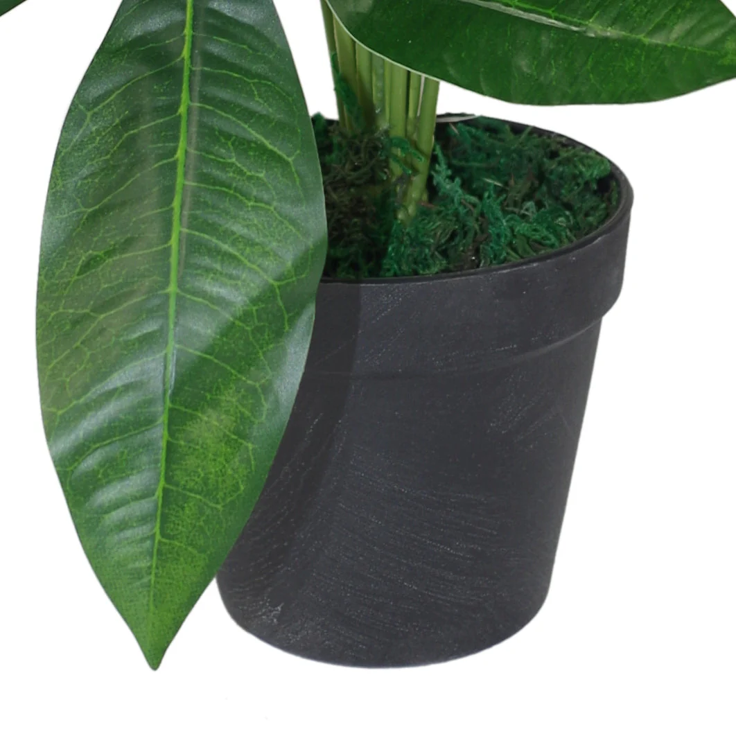 50cm Artificial Money Tree Plant - Image 2