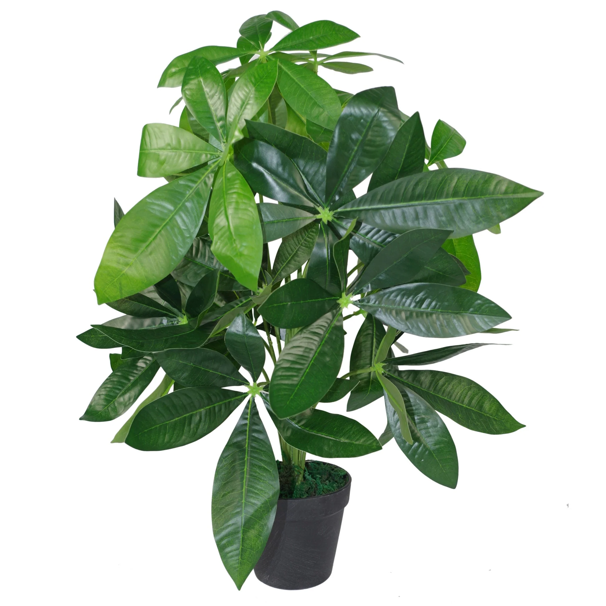 50cm Artificial Money Tree Plant - Image 3