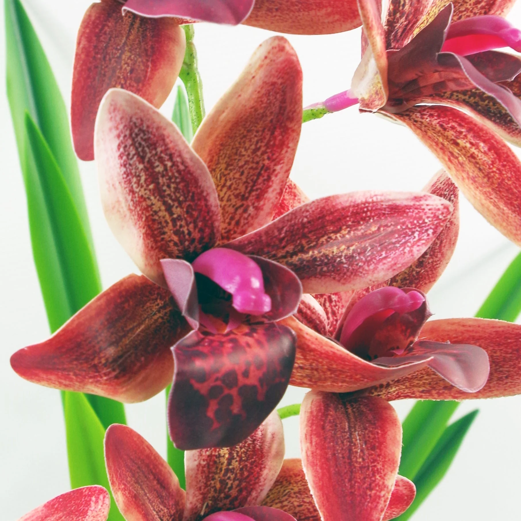 50cm Large Dark Pink Artificial Orchid in Ceramic Planter - Image 2