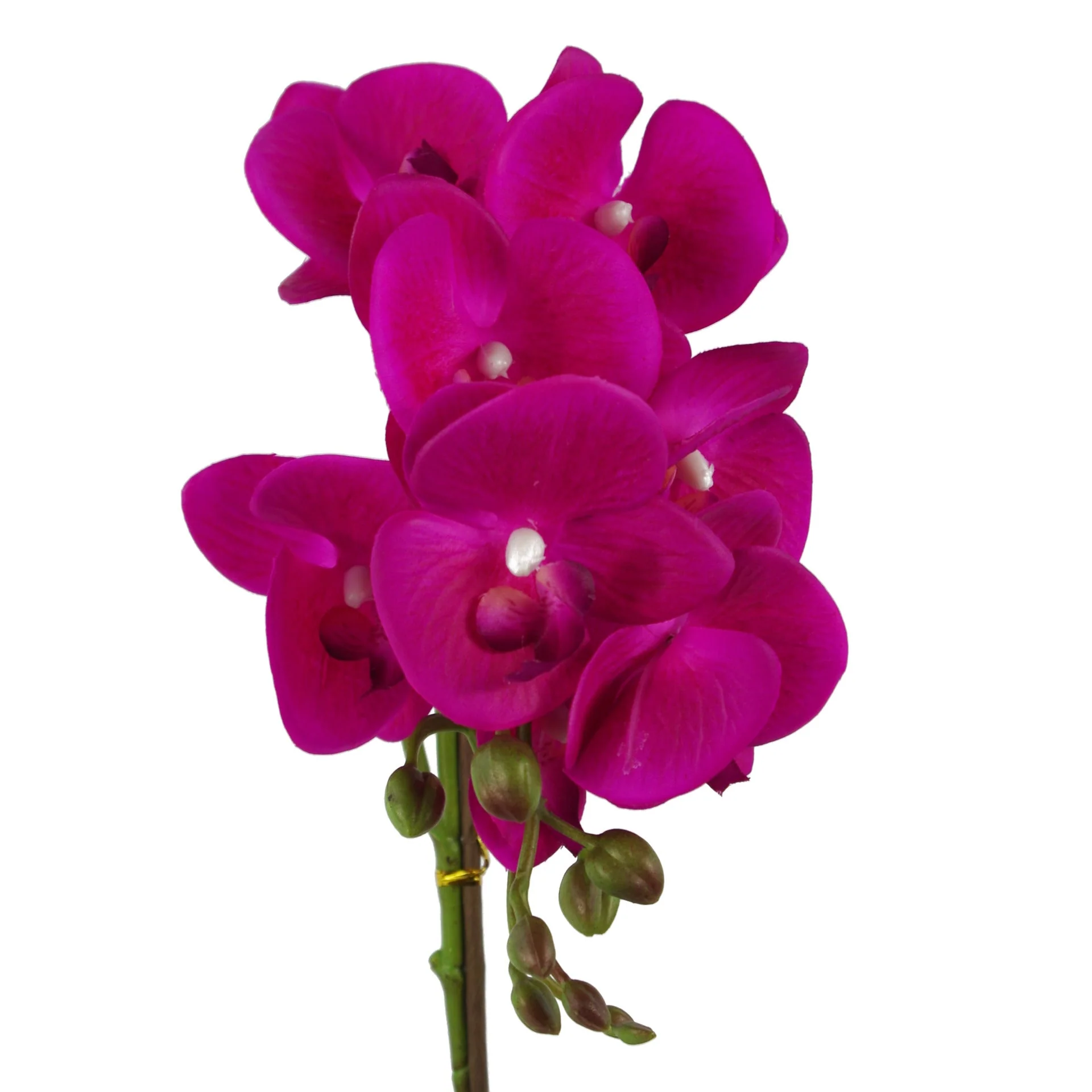 50cm Phalaenopsis Orchid Artificial - Dark Pink Silver - Image 2