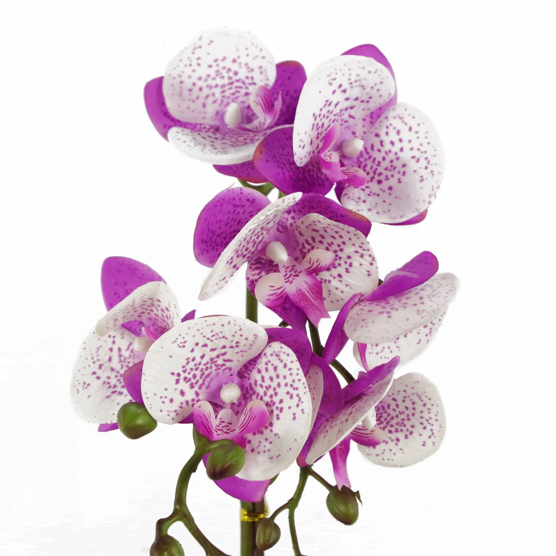 50cm Phalaenopsis Orchid Artificial - Purple / White - Gold Pot - Image 2