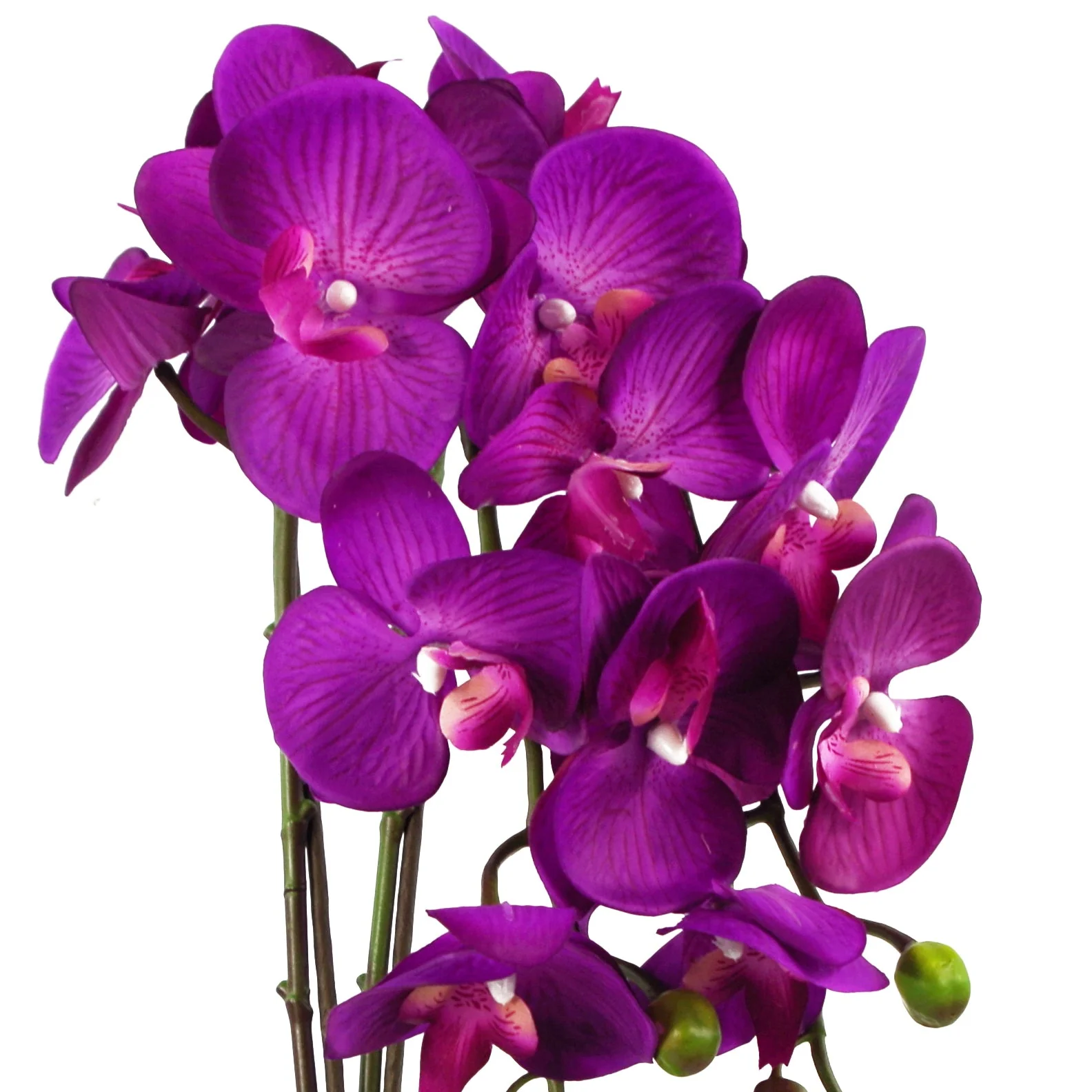 52cm Artificial Orchid Large - Purple / Gold - Image 2