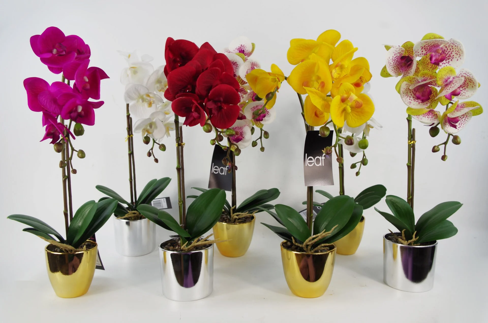 52cm Artificial Orchid Large -White / Silver - Image 3