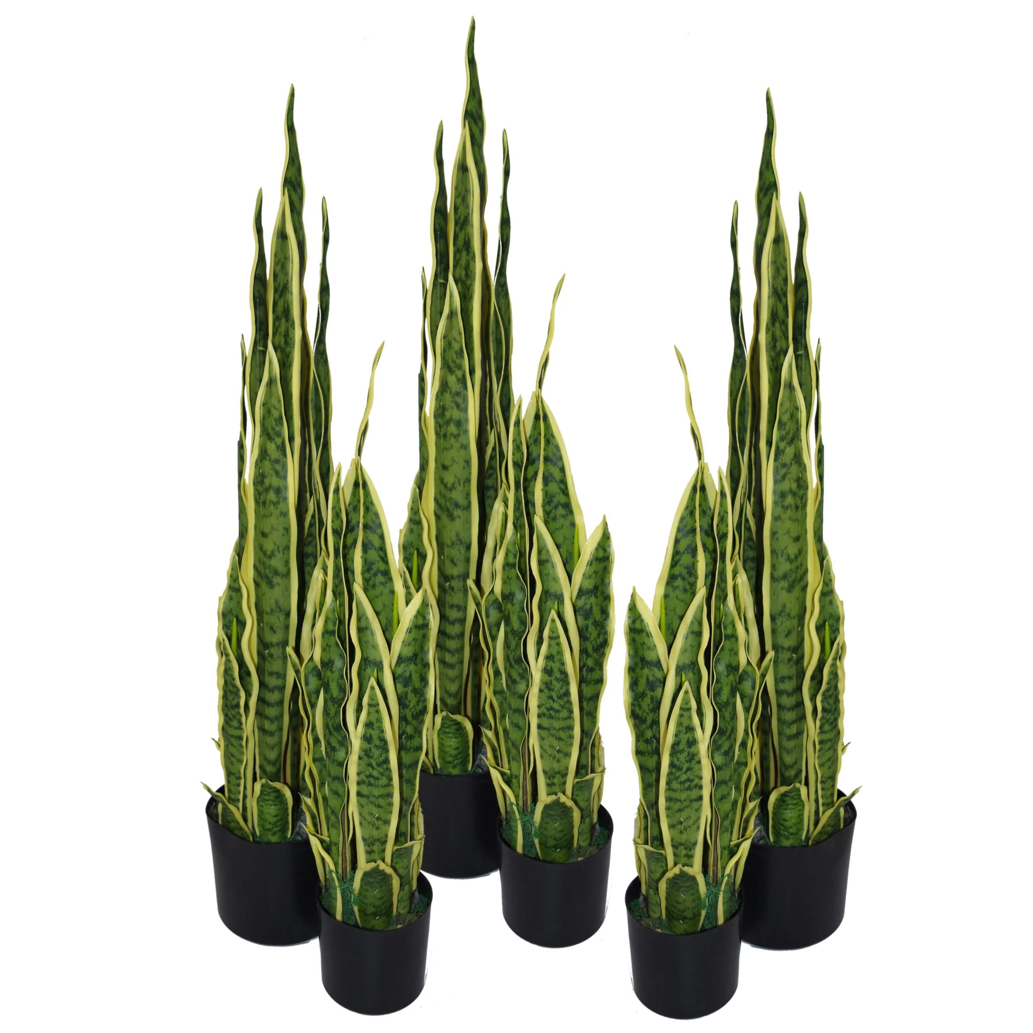 55cm Artificial Sansevieria Yellow Green Indoor Plant - Image 2