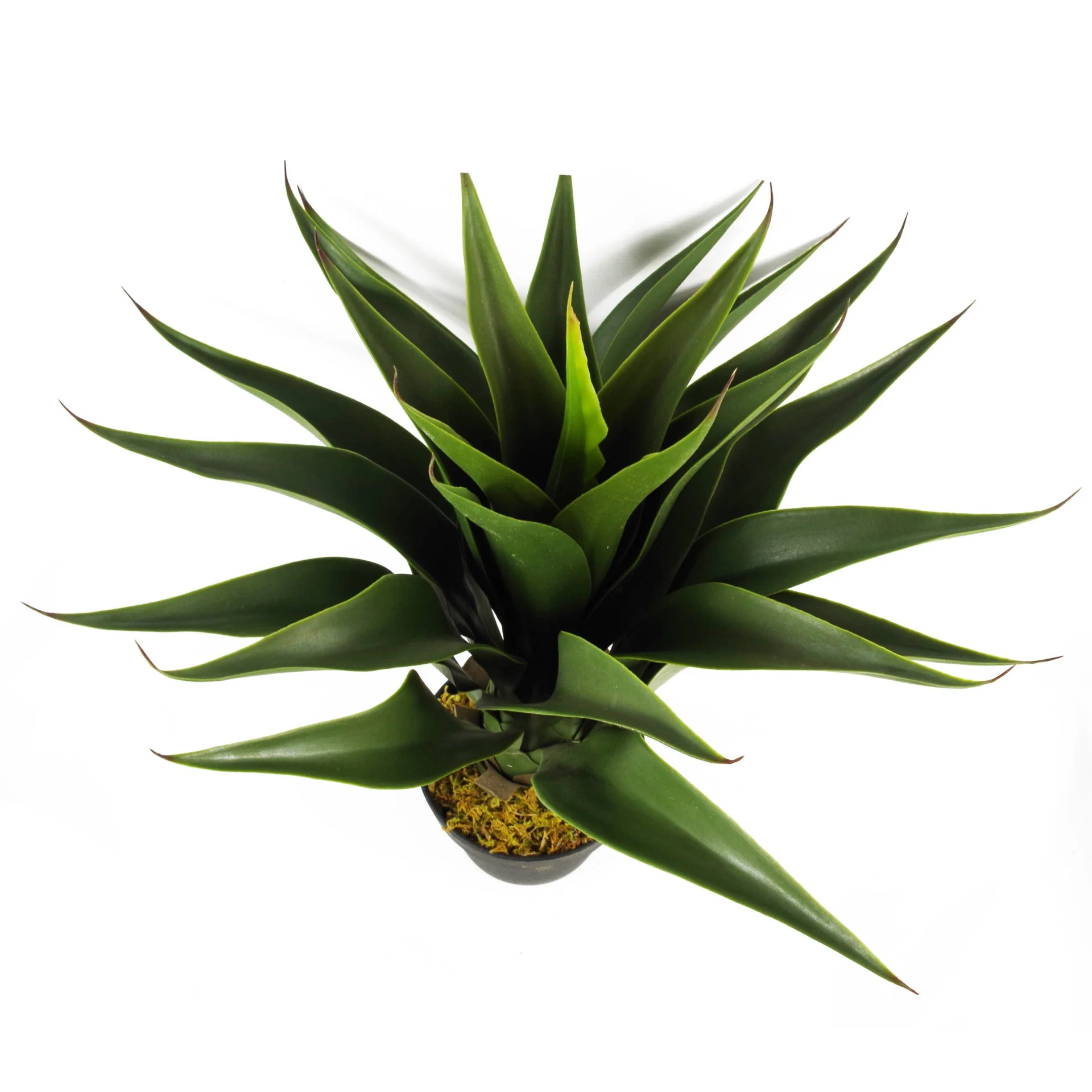 55cm Artificial Yucca Plant - Image 4
