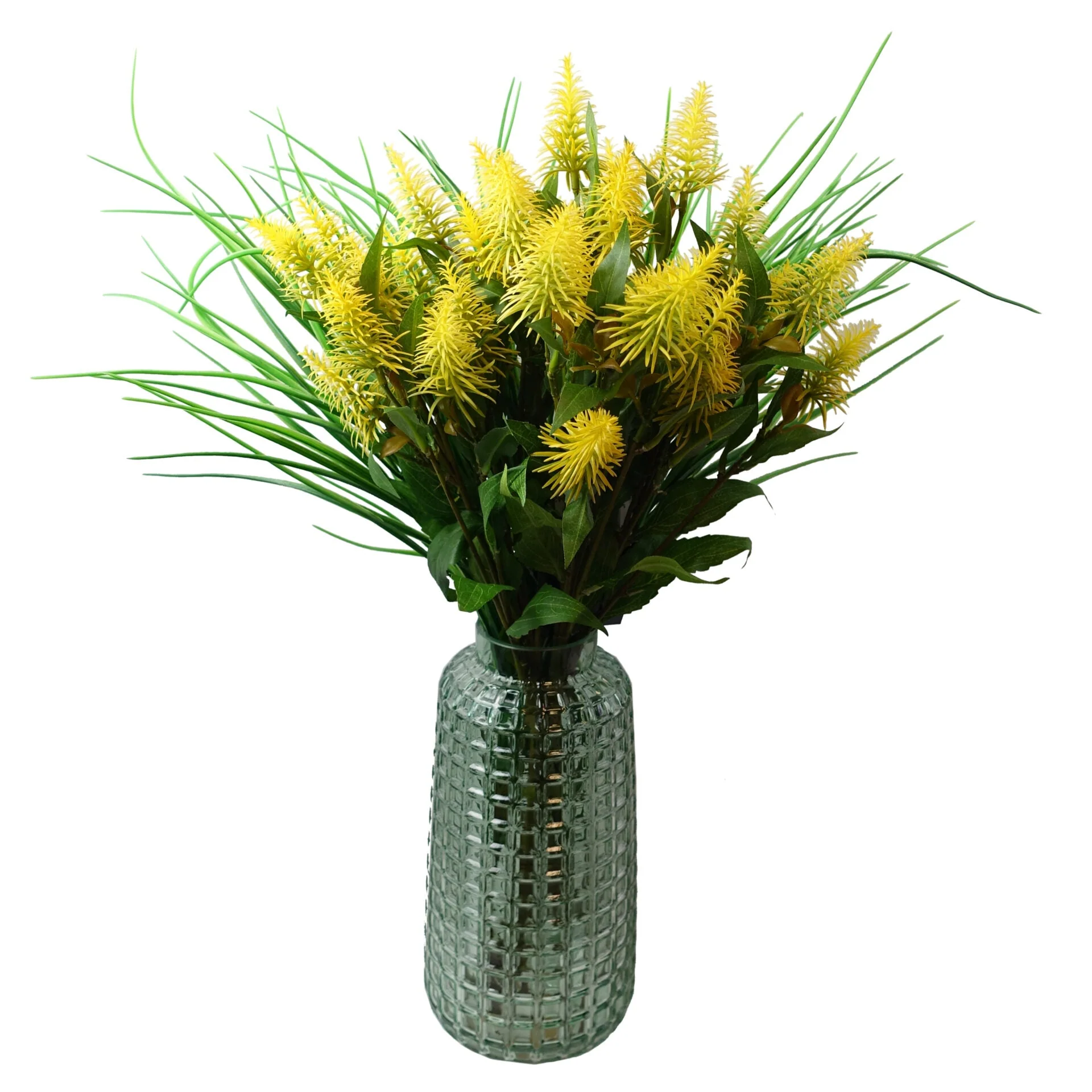 55cm Callistemon Pallidus Yellow Bottle Brush Stem - Image 4