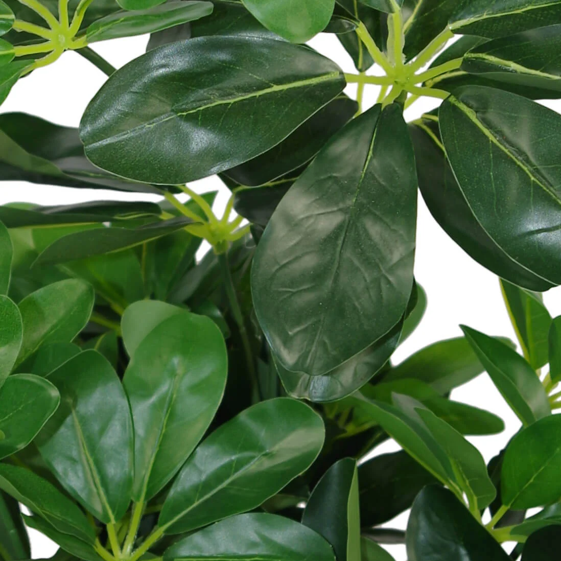 55cm Dark Green Artificial Schefflera Arboricola Plant - Image 3