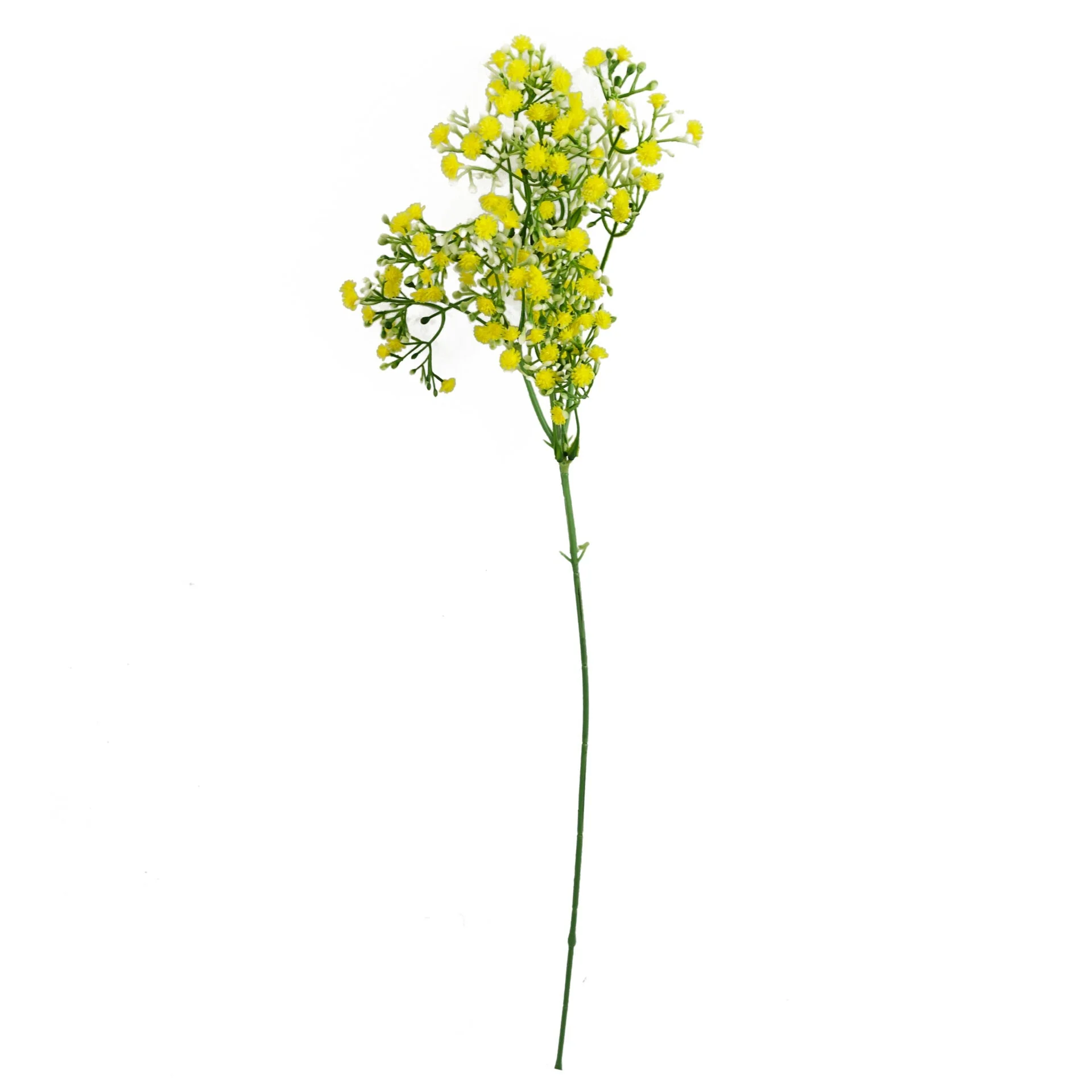 55cm Gypsophila Yellow Stem - Image 2