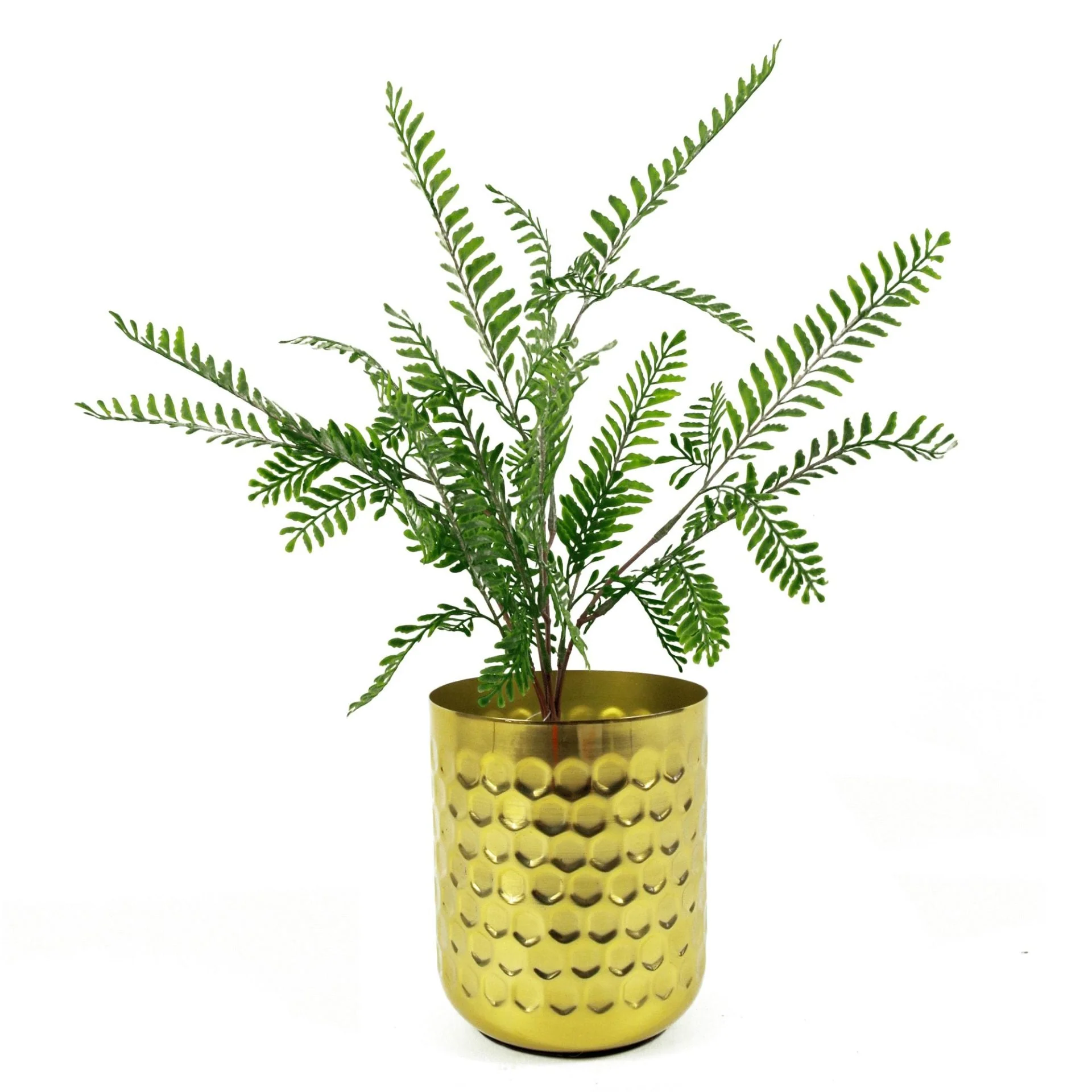 55cm Himilayan Maidenhair Fern Bush Dark Green Plant - Image 3