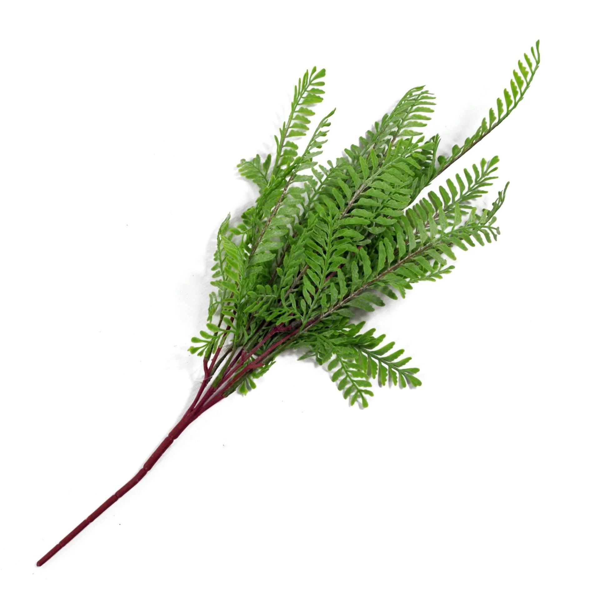 55cm Himilayan Maidenhair Fern Bush Light Green Plant - Image 4