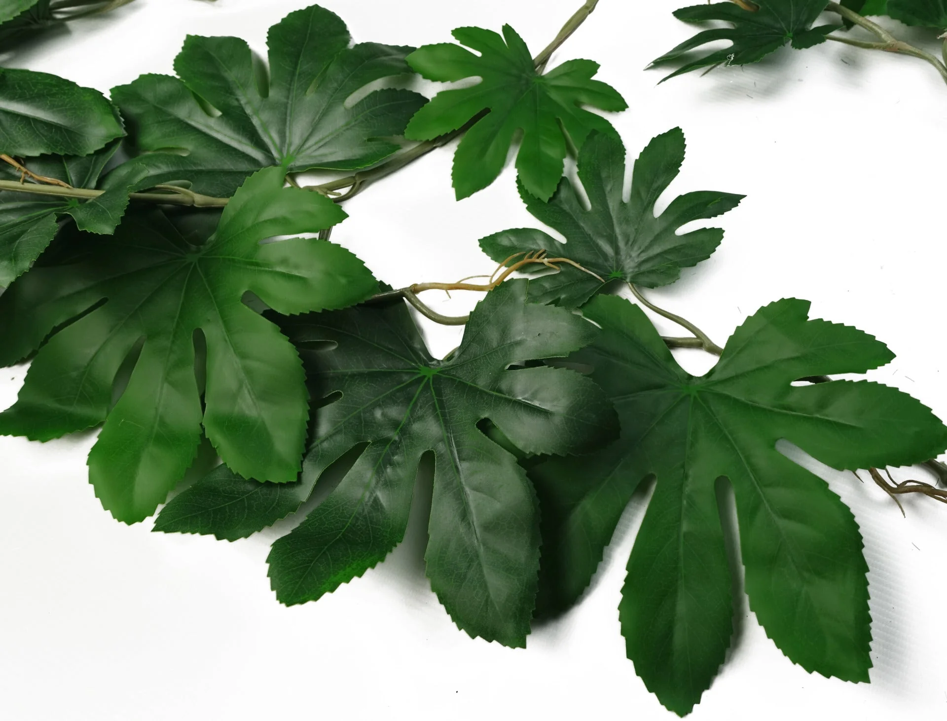 6 x 110cm Artificial Hanging Trailing Aralia Plant - Image 2