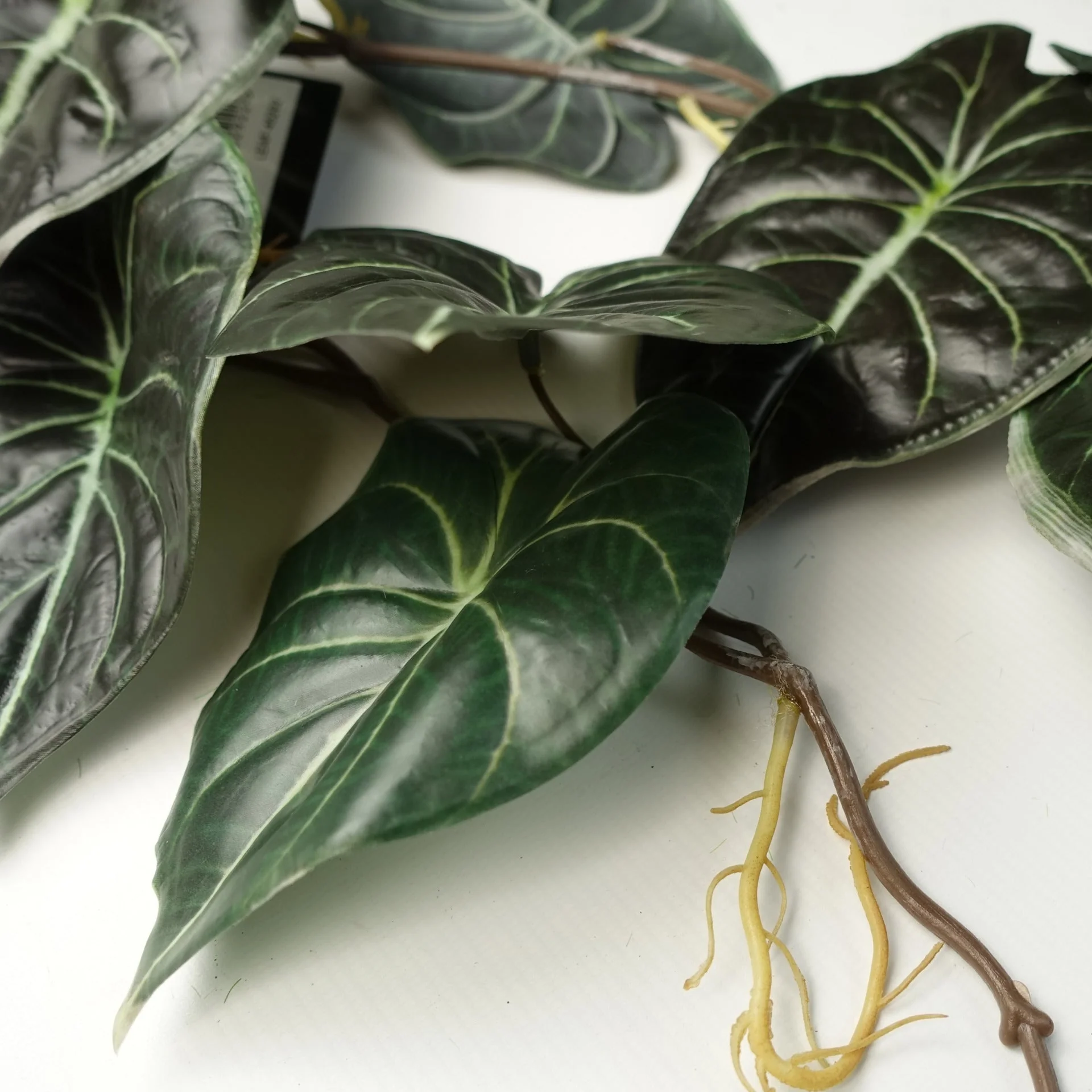 6 x 120cm Artificial Hanging Trailing Plant Alocasia Dragon Scale Dark - Image 4