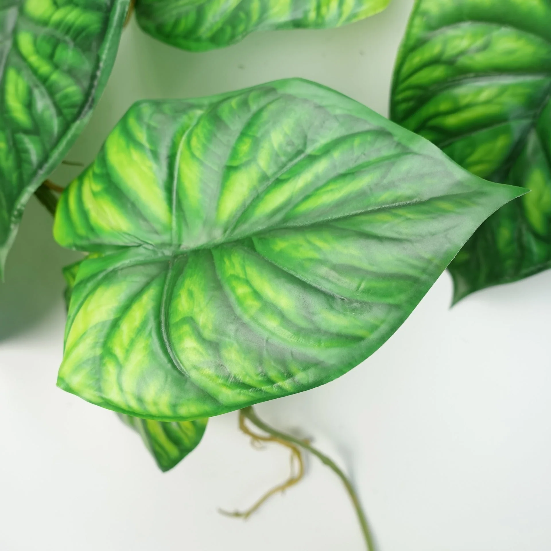 6 x 120cm Artificial Hanging Trailing Plant Alocasia Dragon Scale Green - Image 3